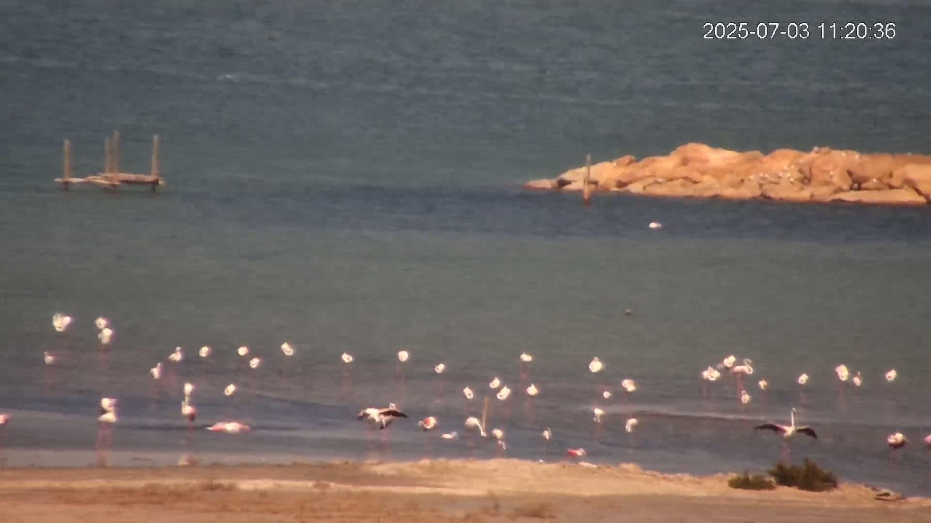 Laguna Salada de La Mata Lagoon Lake & -Parque Natural Lagunas de La Mata y Torrevieja Natural Park Live Cam - Torrevieja, Alicante, Valencia, Spain 