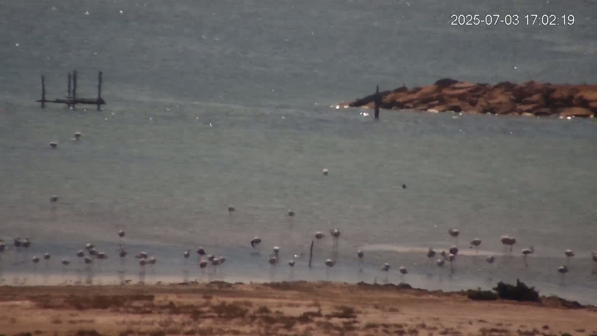 Laguna Salada de La Mata Lagoon Lake & -Parque Natural Lagunas de La Mata y Torrevieja Natural Park Live Cam - Torrevieja, Alicante, Valencia, Spain 