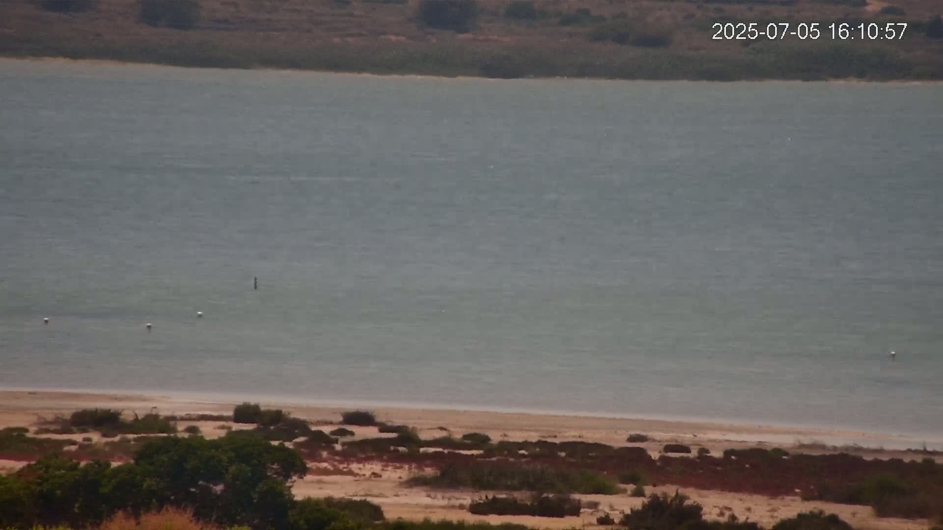 A calm, gray body of water meets a sandy shore lined with low-lying vegetation.