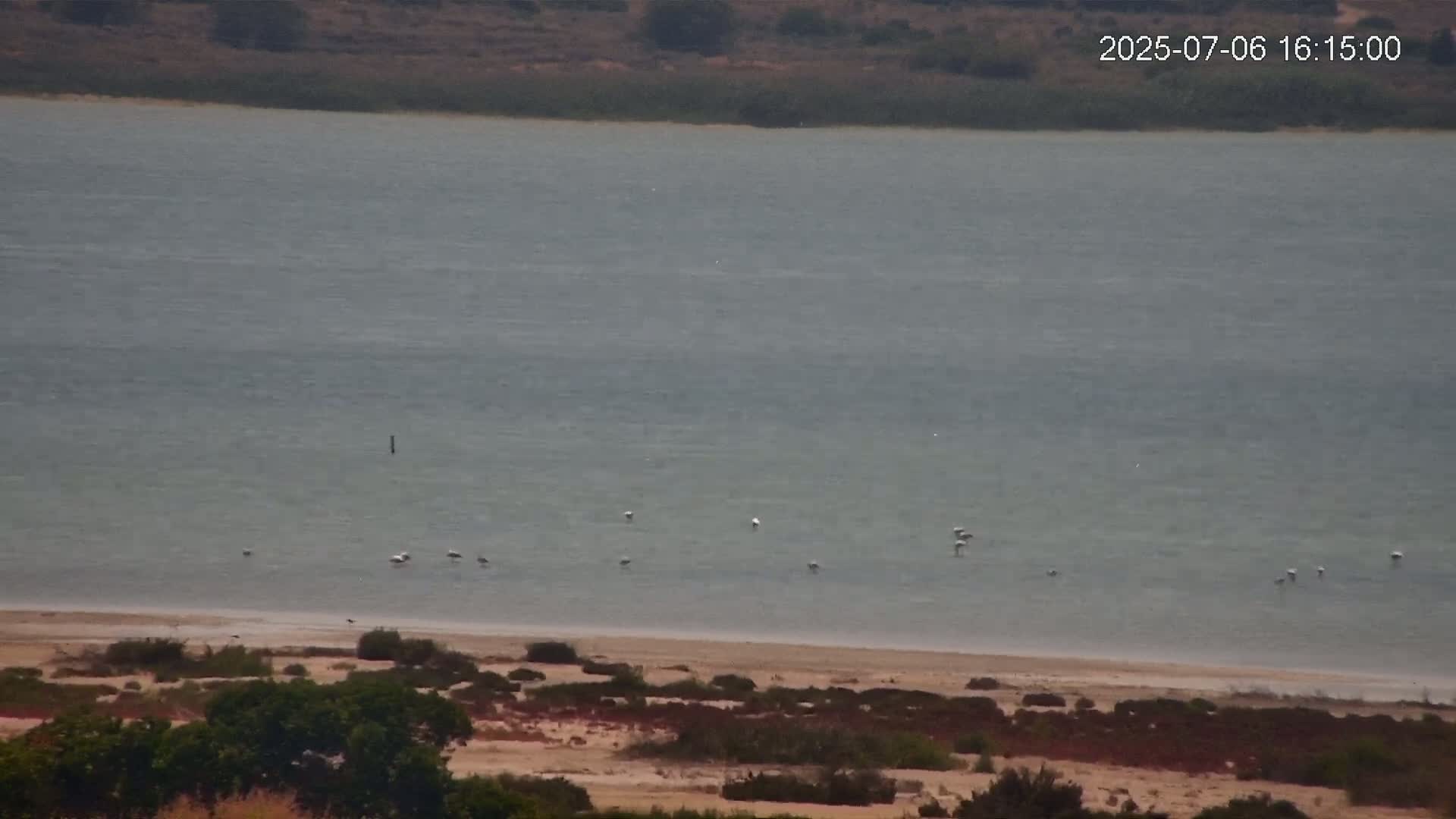 Laguna Salada de La Mata Lagoon Lake & -Parque Natural Lagunas de La Mata y Torrevieja Natural Park Live Cam - Torrevieja, Alicante, Valencia, Spain 