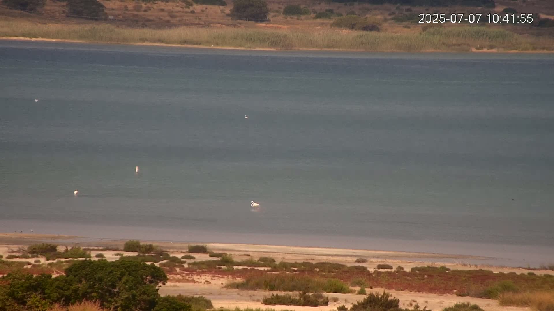 Laguna Salada de La Mata Lagoon Lake & -Parque Natural Lagunas de La Mata y Torrevieja Natural Park Live Cam - Torrevieja, Alicante, Valencia, Spain 