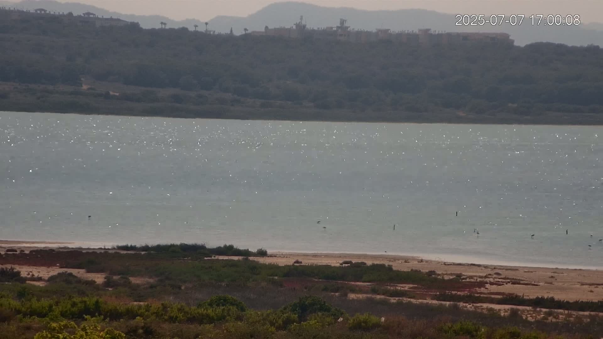 Laguna Salada de La Mata Lagoon Lake & -Parque Natural Lagunas de La Mata y Torrevieja Natural Park Live Cam - Torrevieja, Alicante, Valencia, Spain 