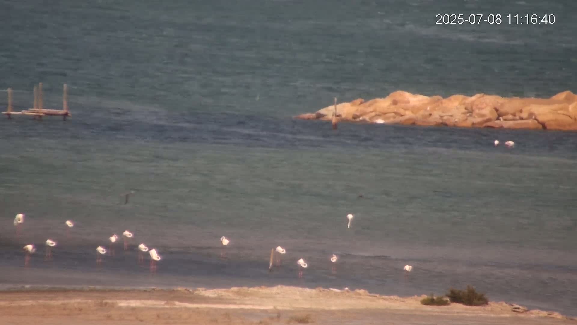 Laguna Salada de La Mata Lagoon Lake & -Parque Natural Lagunas de La Mata y Torrevieja Natural Park Live Cam - Torrevieja, Alicante, Valencia, Spain 