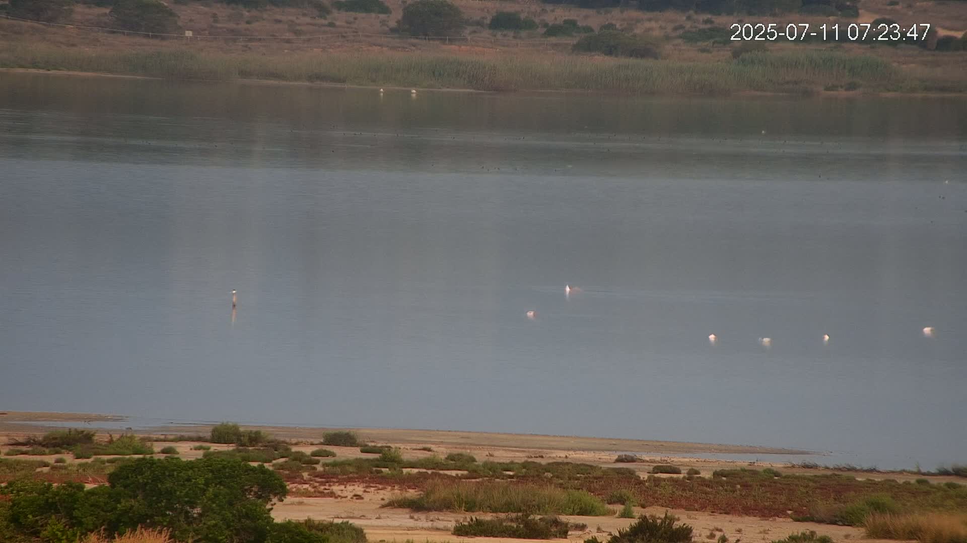 Laguna Salada de La Mata Lagoon Lake & -Parque Natural Lagunas de La Mata y Torrevieja Natural Park Live Cam - Torrevieja, Alicante, Valencia, Spain 