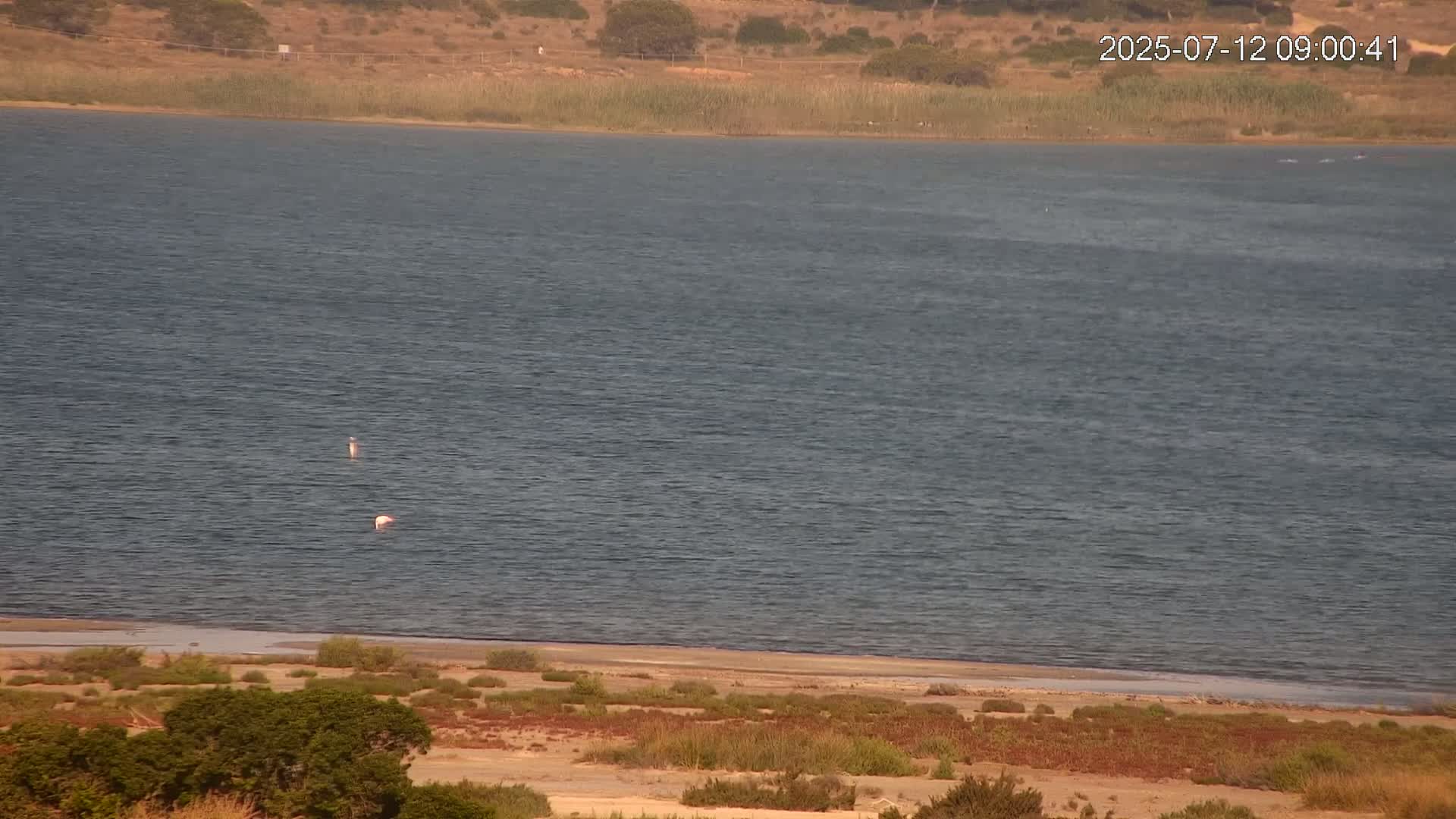 Laguna Salada de La Mata Lagoon Lake & -Parque Natural Lagunas de La Mata y Torrevieja Natural Park Live Cam - Torrevieja, Alicante, Valencia, Spain 