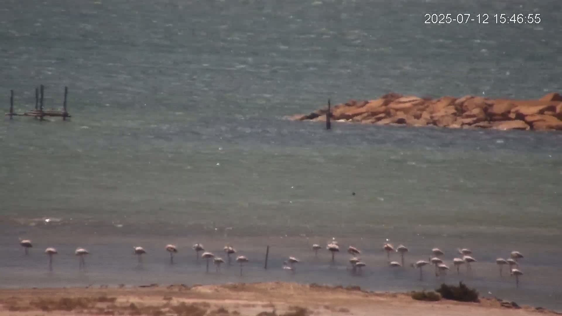 Laguna Salada de La Mata Lagoon Lake & -Parque Natural Lagunas de La Mata y Torrevieja Natural Park Live Cam - Torrevieja, Alicante, Valencia, Spain 