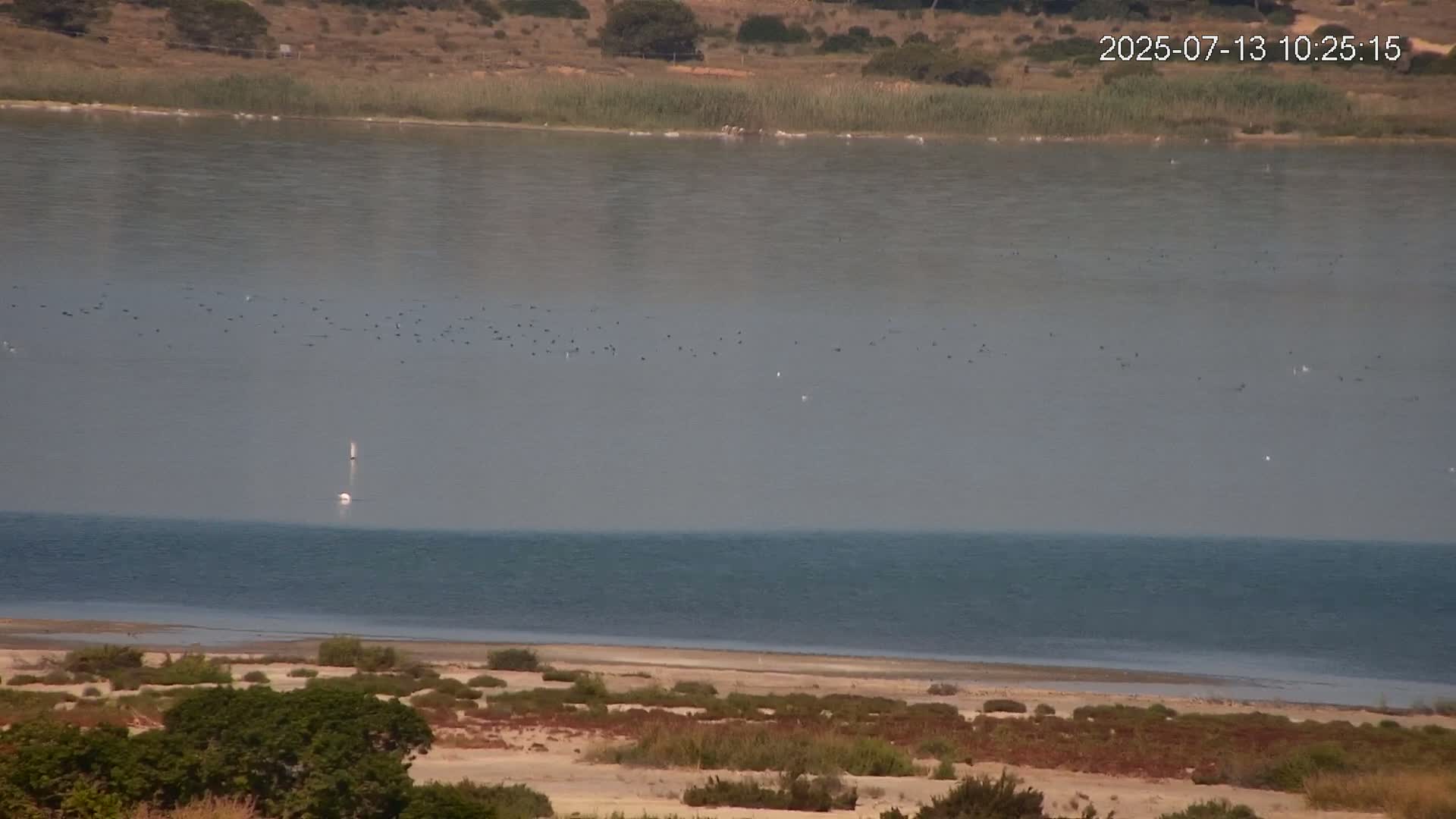 Laguna Salada de La Mata Lagoon Lake & -Parque Natural Lagunas de La Mata y Torrevieja Natural Park Live Cam - Torrevieja, Alicante, Valencia, Spain 