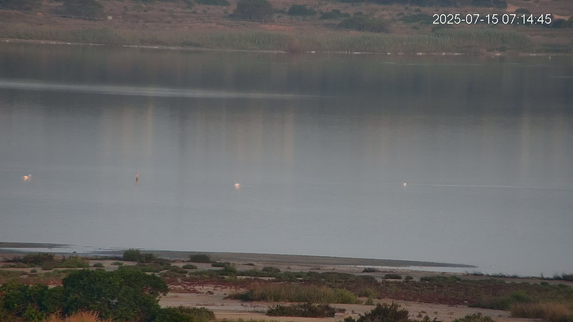 Laguna Salada de La Mata Lagoon Lake & -Parque Natural Lagunas de La Mata y Torrevieja Natural Park Live Cam - Torrevieja, Alicante, Valencia, Spain 