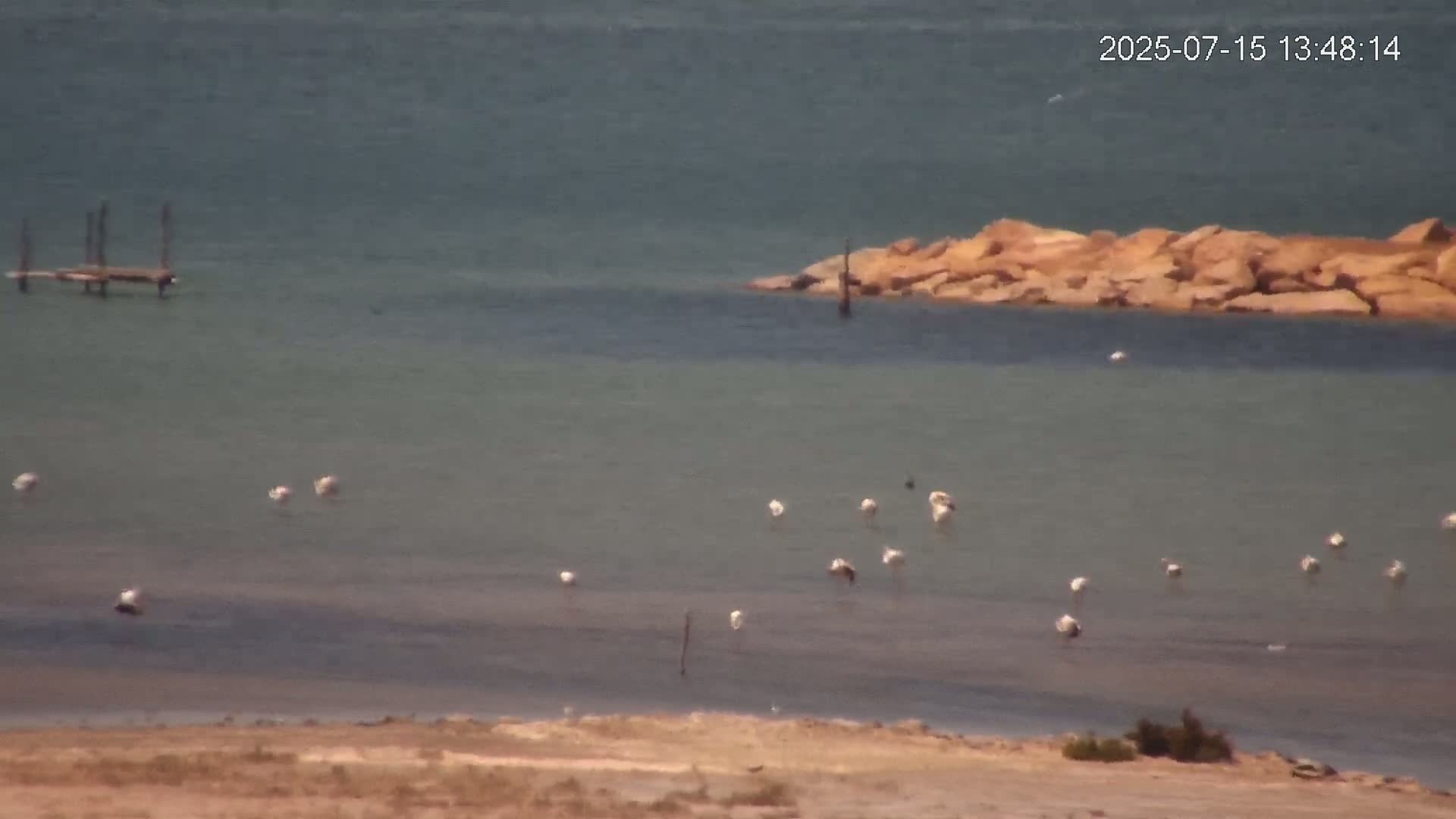 Laguna Salada de La Mata Lagoon Lake & -Parque Natural Lagunas de La Mata y Torrevieja Natural Park Live Cam - Torrevieja, Alicante, Valencia, Spain 