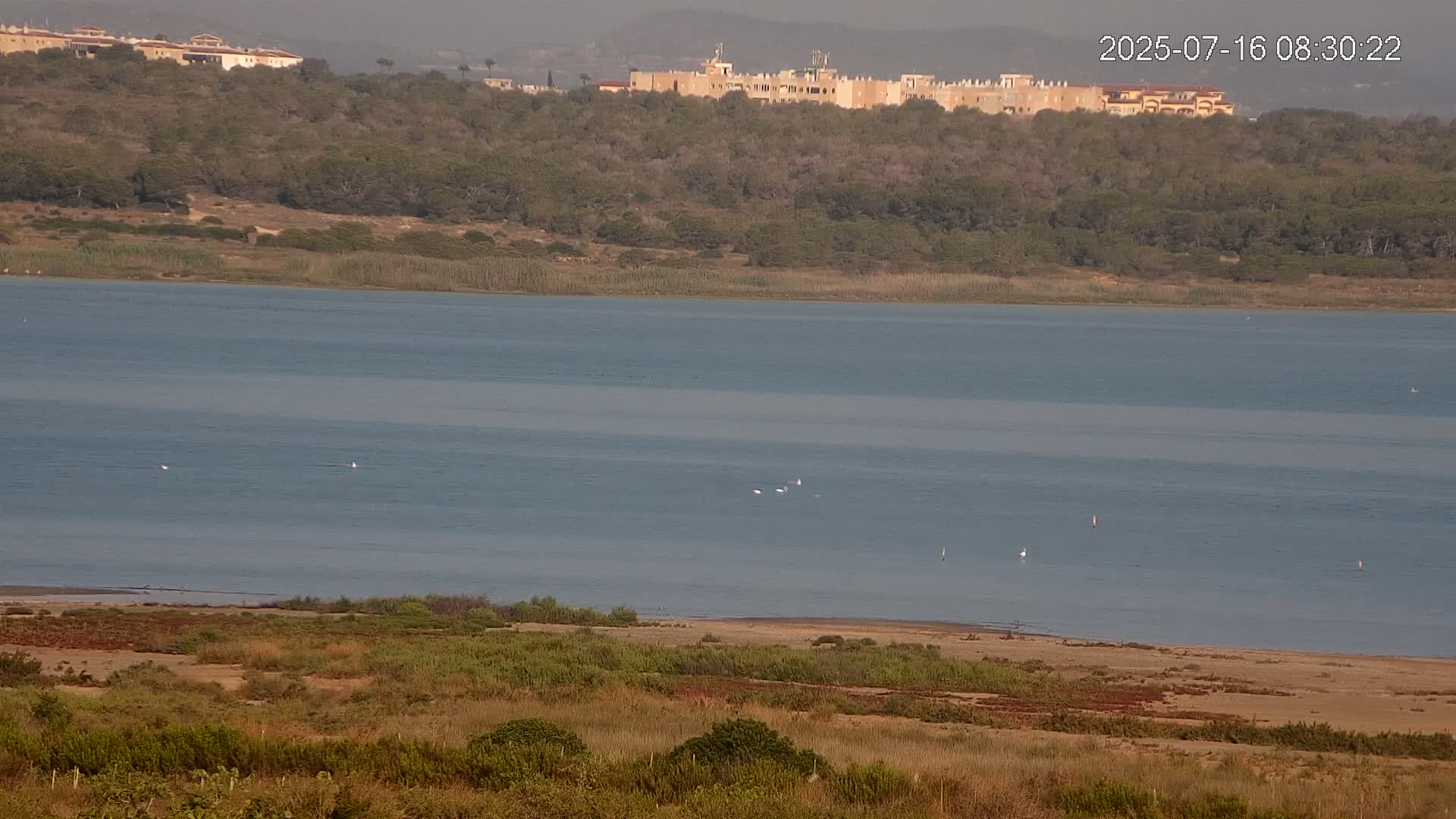 Laguna Salada de La Mata Lagoon Lake & -Parque Natural Lagunas de La Mata y Torrevieja Natural Park Live Cam - Torrevieja, Alicante, Valencia, Spain 