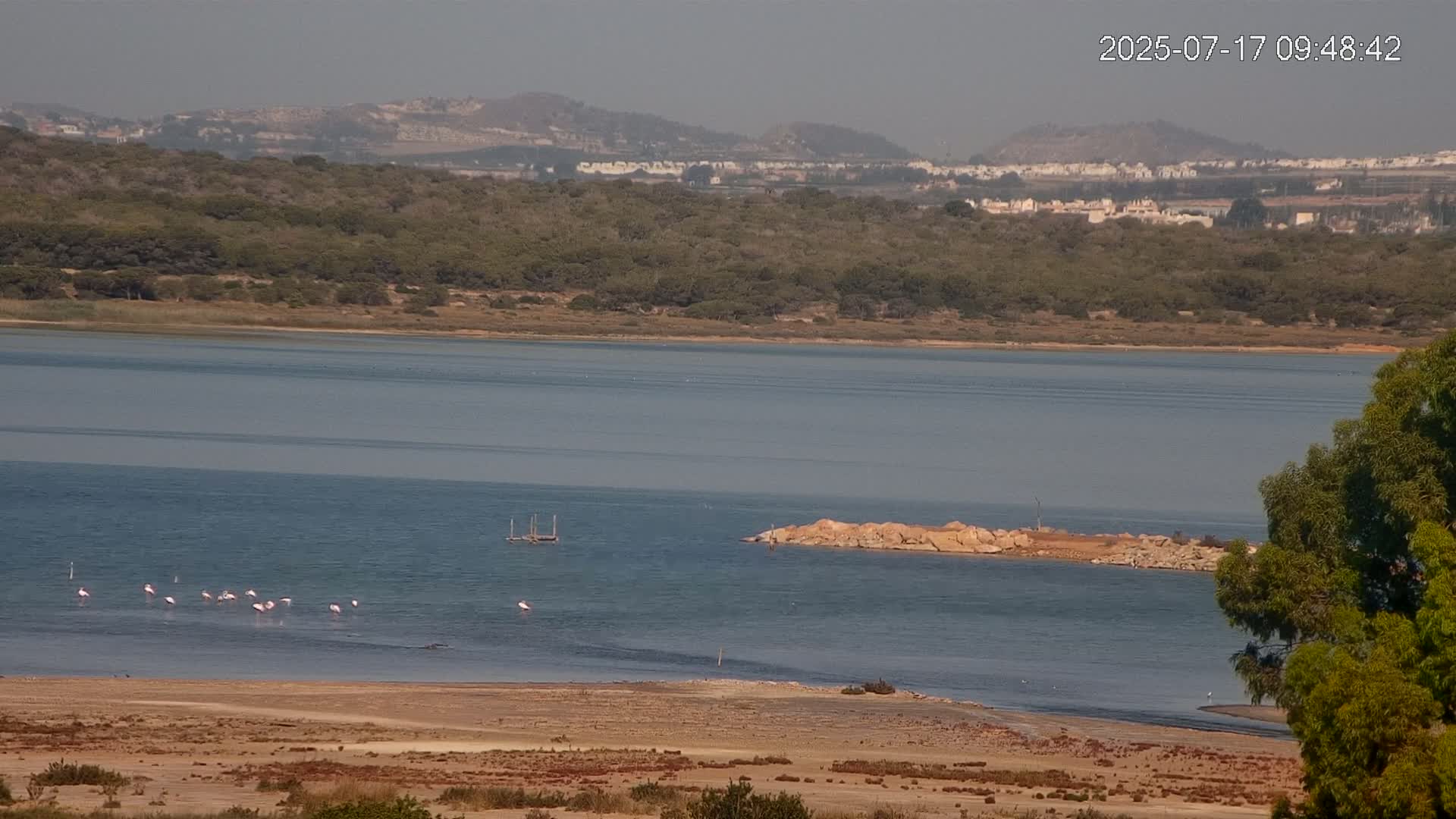 Laguna Salada de La Mata Lagoon Lake & -Parque Natural Lagunas de La Mata y Torrevieja Natural Park Live Cam - Torrevieja, Alicante, Valencia, Spain 