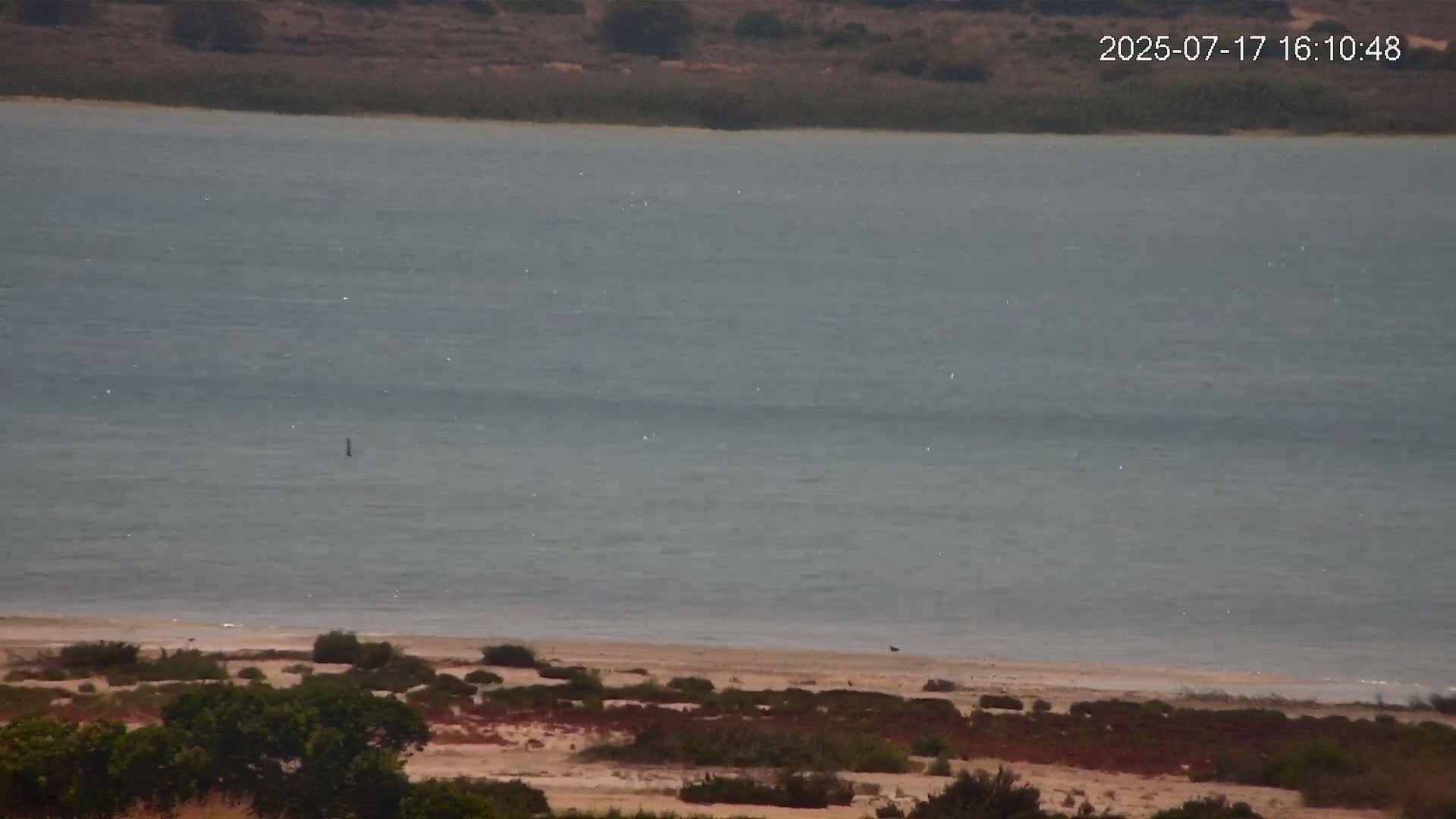 Laguna Salada de La Mata Lagoon Lake & -Parque Natural Lagunas de La Mata y Torrevieja Natural Park Live Cam - Torrevieja, Alicante, Valencia, Spain 