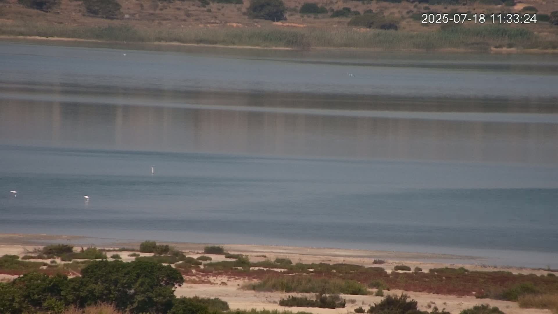 Laguna Salada de La Mata Lagoon Lake & -Parque Natural Lagunas de La Mata y Torrevieja Natural Park Live Cam - Torrevieja, Alicante, Valencia, Spain 