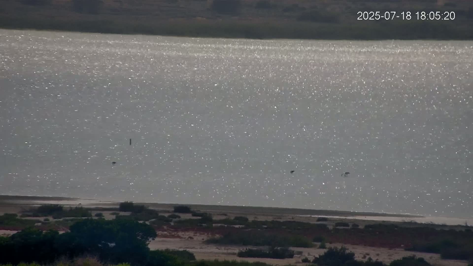 Laguna Salada de La Mata Lagoon Lake & -Parque Natural Lagunas de La Mata y Torrevieja Natural Park Live Cam - Torrevieja, Alicante, Valencia, Spain 