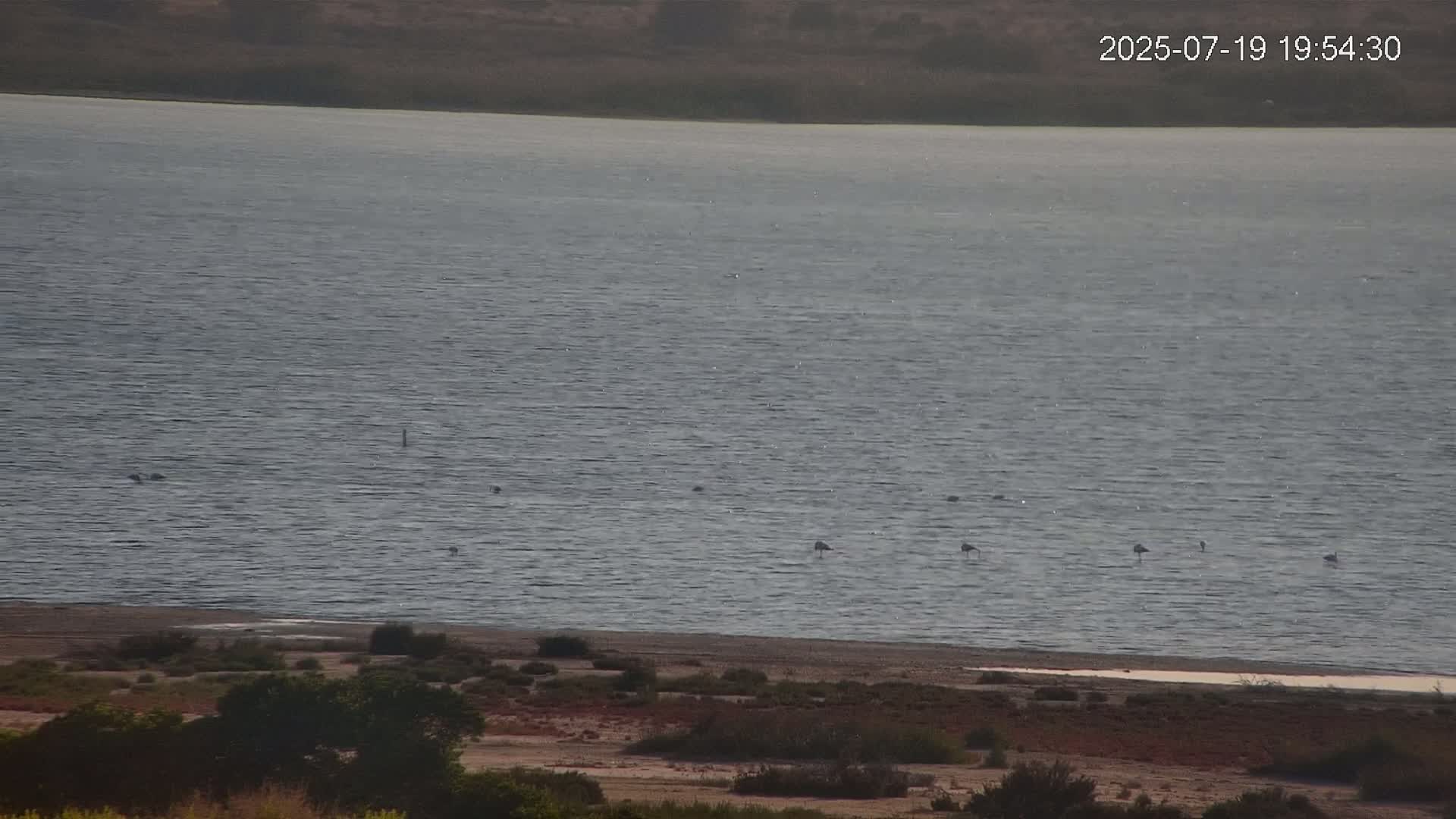 Laguna Salada de La Mata Lagoon Lake & -Parque Natural Lagunas de La Mata y Torrevieja Natural Park Live Cam - Torrevieja, Alicante, Valencia, Spain 