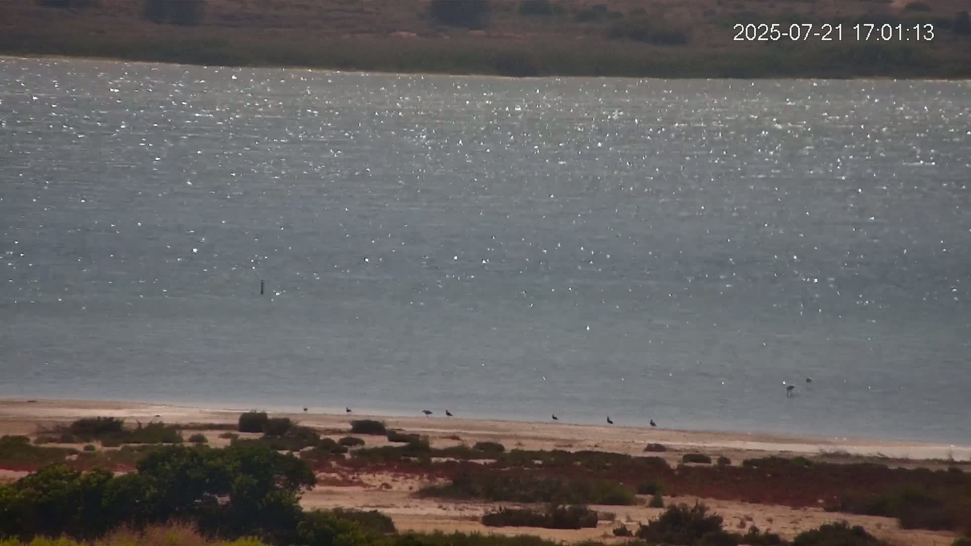 Laguna Salada de La Mata Lagoon Lake & -Parque Natural Lagunas de La Mata y Torrevieja Natural Park Live Cam - Torrevieja, Alicante, Valencia, Spain 
