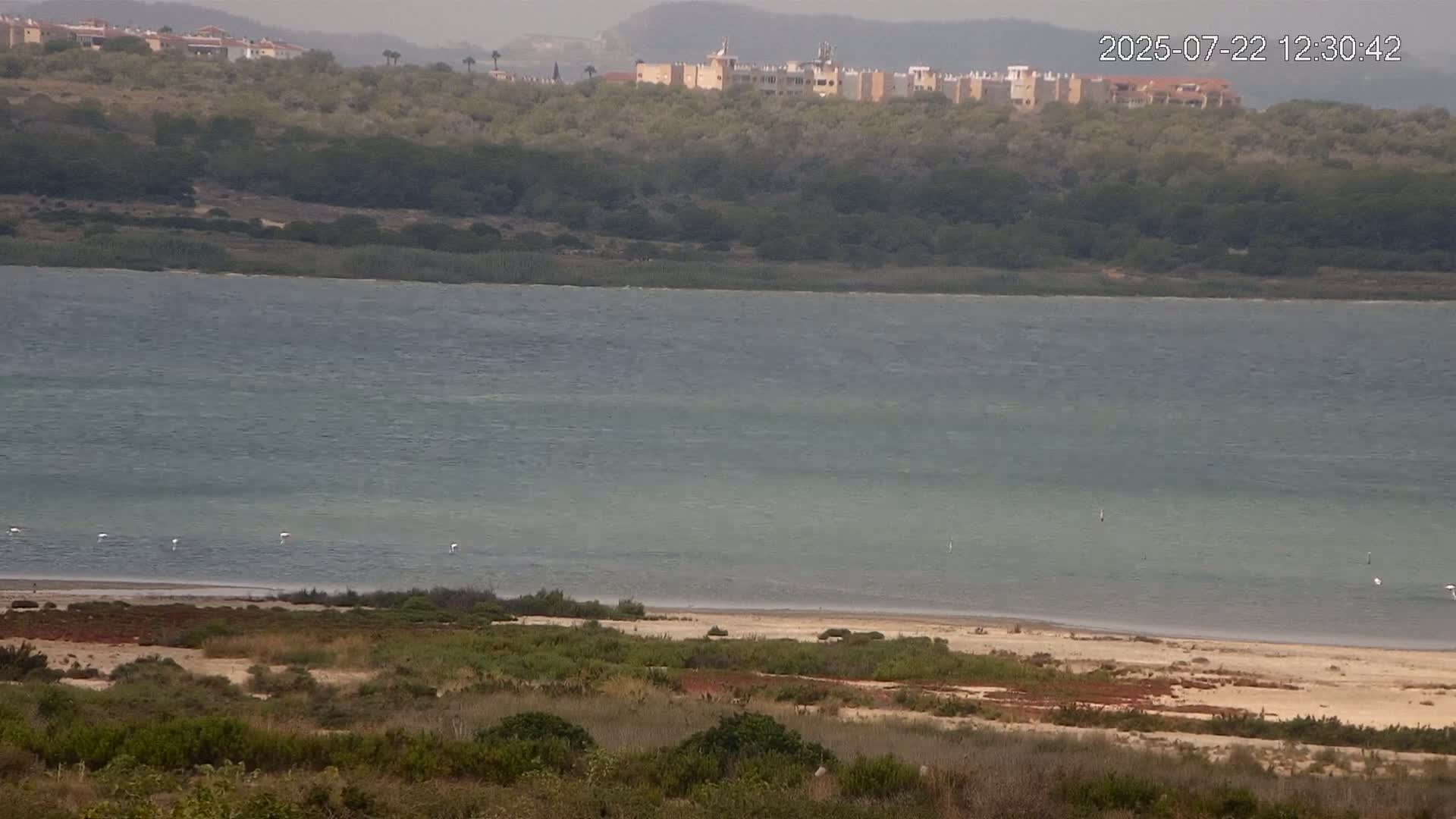 Laguna Salada de La Mata Lagoon Lake & -Parque Natural Lagunas de La Mata y Torrevieja Natural Park Live Cam - Torrevieja, Alicante, Valencia, Spain 