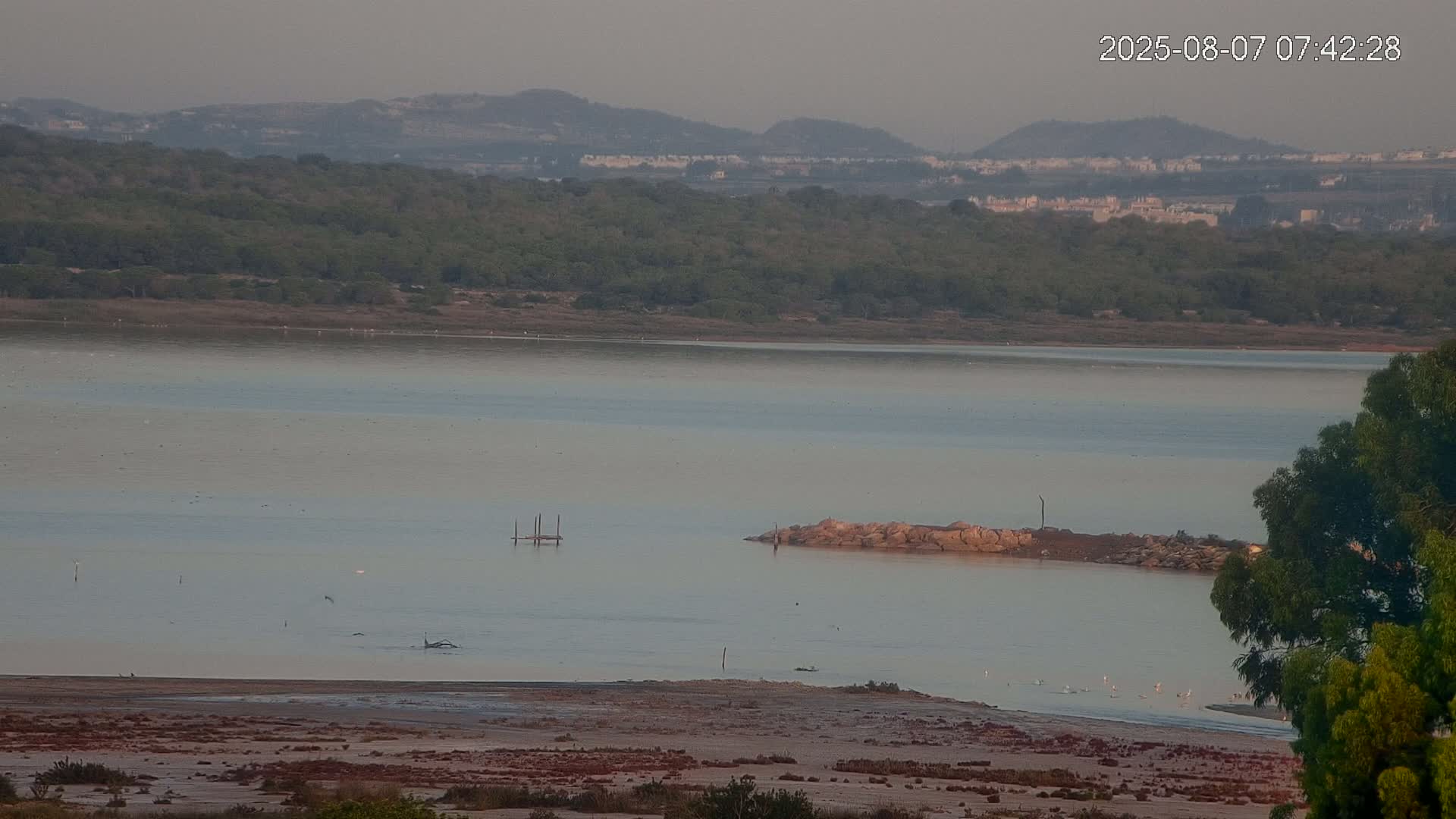 Laguna Salada de La Mata Lagoon Lake & -Parque Natural Lagunas de La Mata y Torrevieja Natural Park Live Cam - Torrevieja, Alicante, Valencia, Spain 
