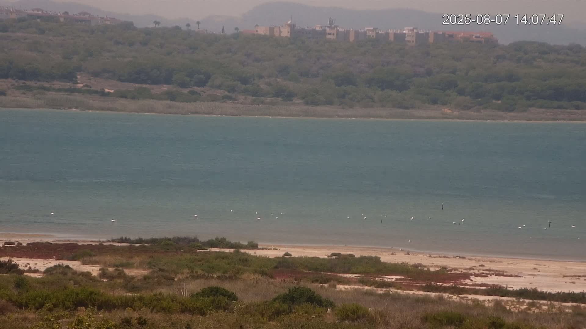 Laguna Salada de La Mata Lagoon Lake & -Parque Natural Lagunas de La Mata y Torrevieja Natural Park Live Cam - Torrevieja, Alicante, Valencia, Spain 