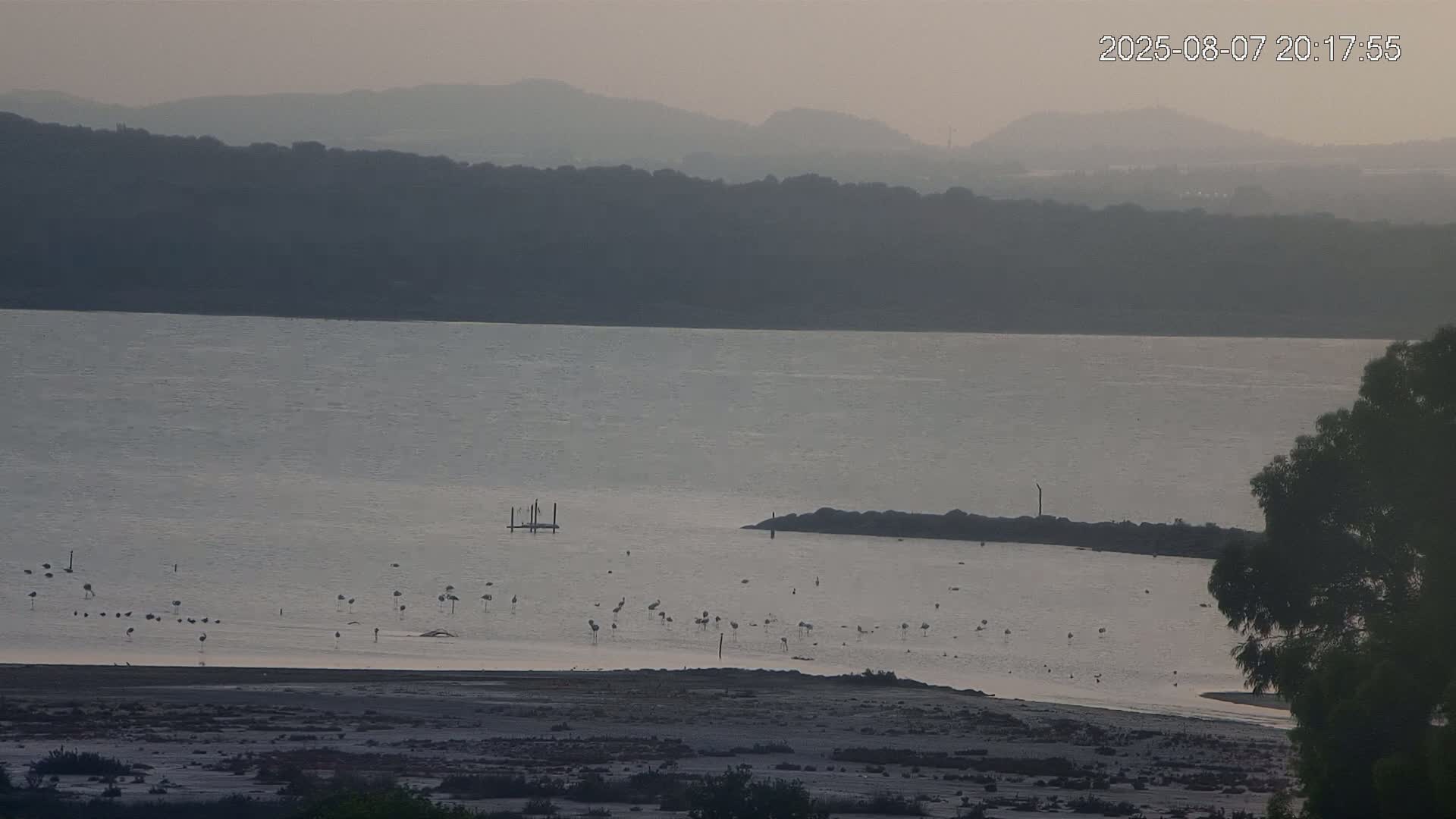 Laguna Salada de La Mata Lagoon Lake & -Parque Natural Lagunas de La Mata y Torrevieja Natural Park Live Cam - Torrevieja, Alicante, Valencia, Spain 