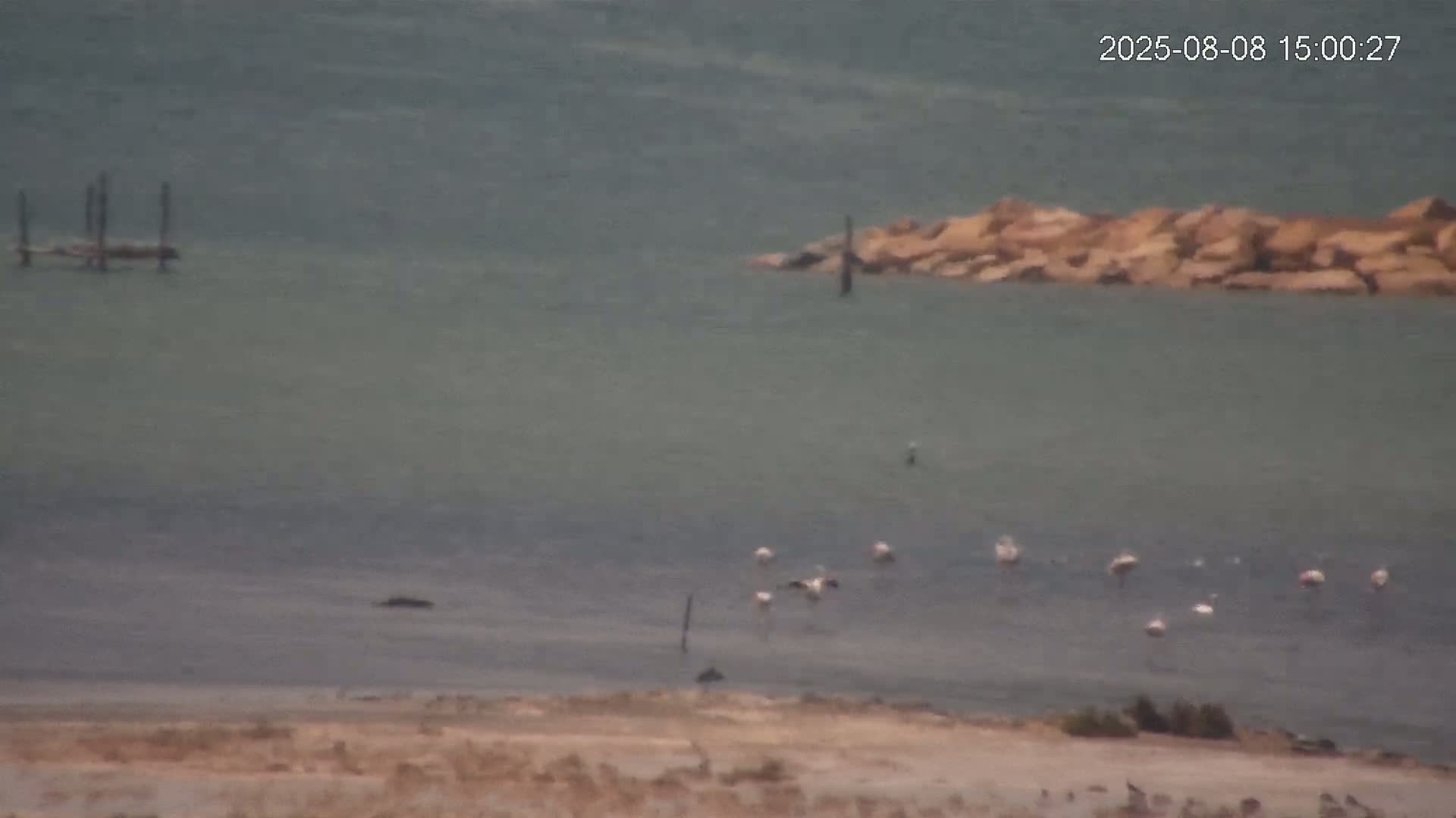 Laguna Salada de La Mata Lagoon Lake & -Parque Natural Lagunas de La Mata y Torrevieja Natural Park Live Cam - Torrevieja, Alicante, Valencia, Spain 