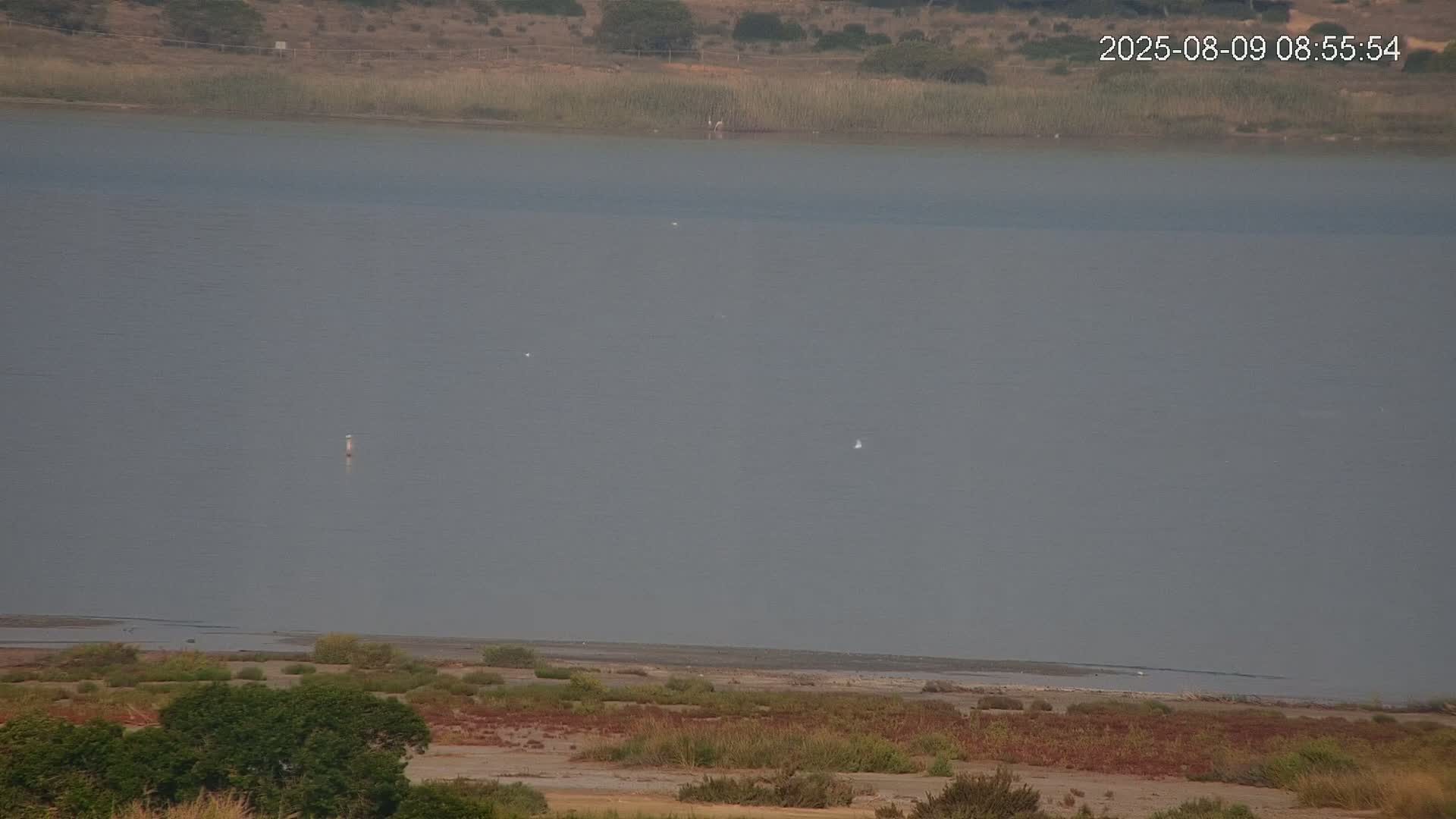 Laguna Salada de La Mata Lagoon Lake & -Parque Natural Lagunas de La Mata y Torrevieja Natural Park Live Cam - Torrevieja, Alicante, Valencia, Spain 