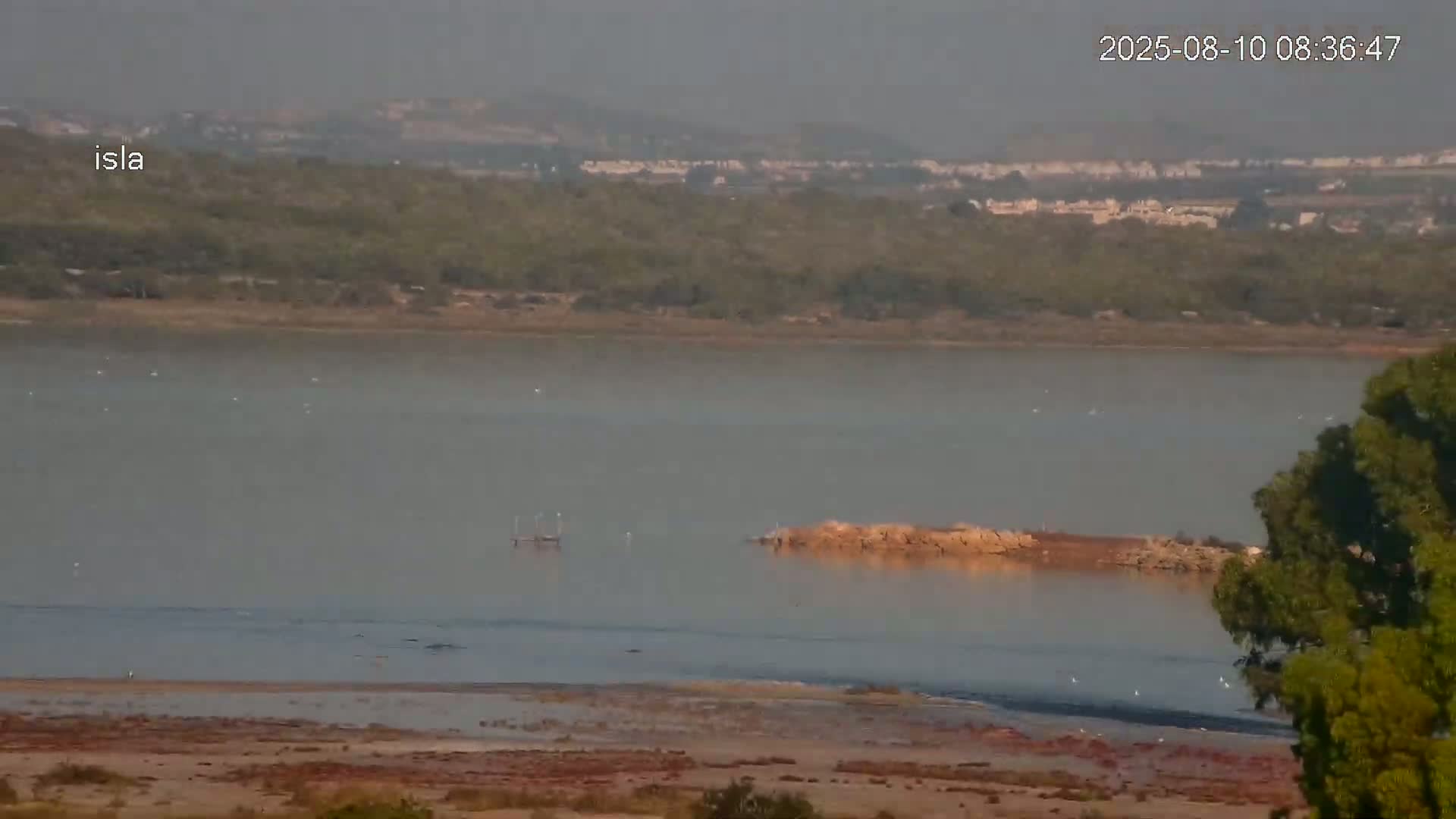 Laguna Salada de La Mata Lagoon Lake & -Parque Natural Lagunas de La Mata y Torrevieja Natural Park Live Cam - Torrevieja, Alicante, Valencia, Spain 