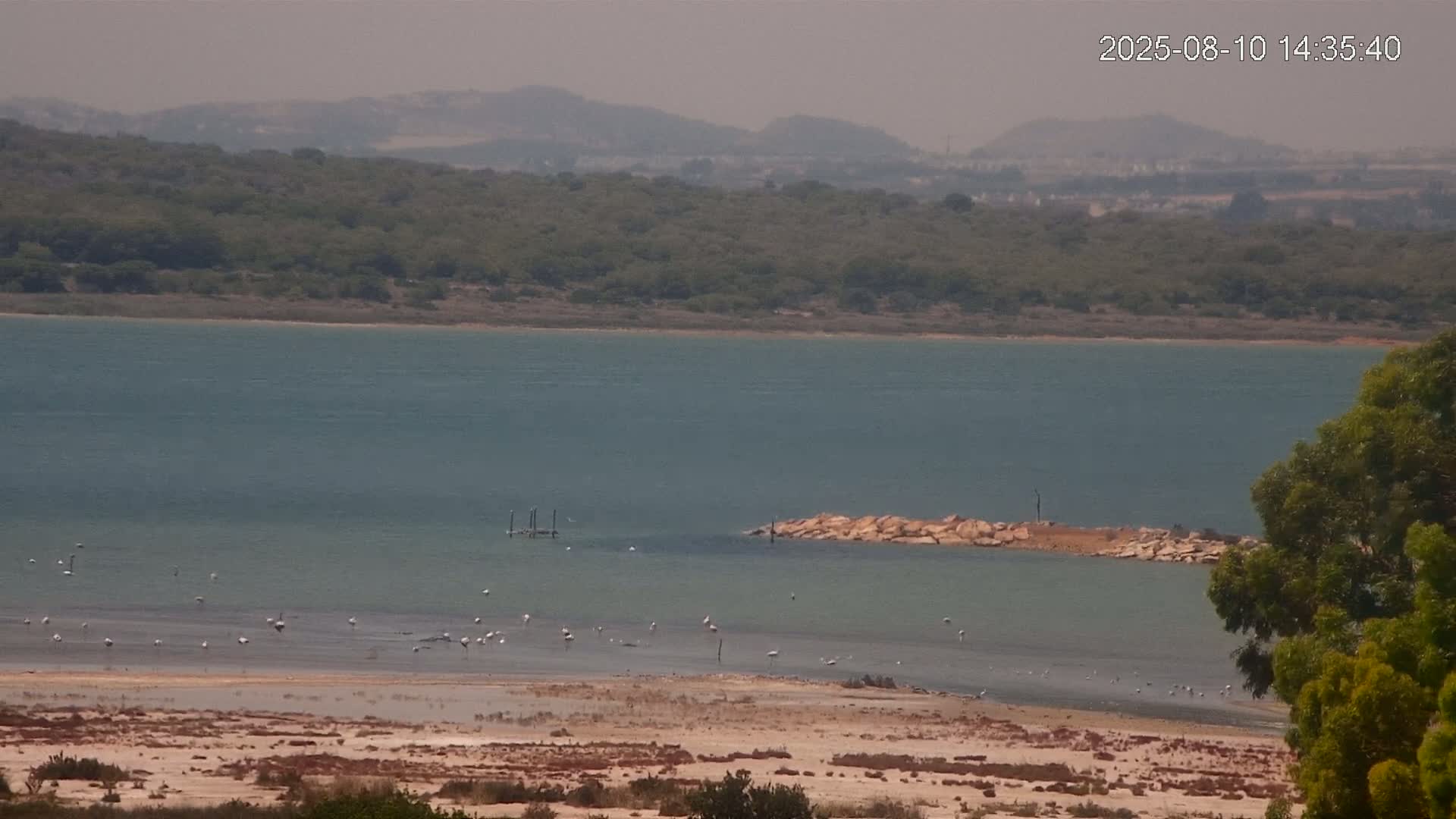 Laguna Salada de La Mata Lagoon Lake & -Parque Natural Lagunas de La Mata y Torrevieja Natural Park Live Cam - Torrevieja, Alicante, Valencia, Spain 
