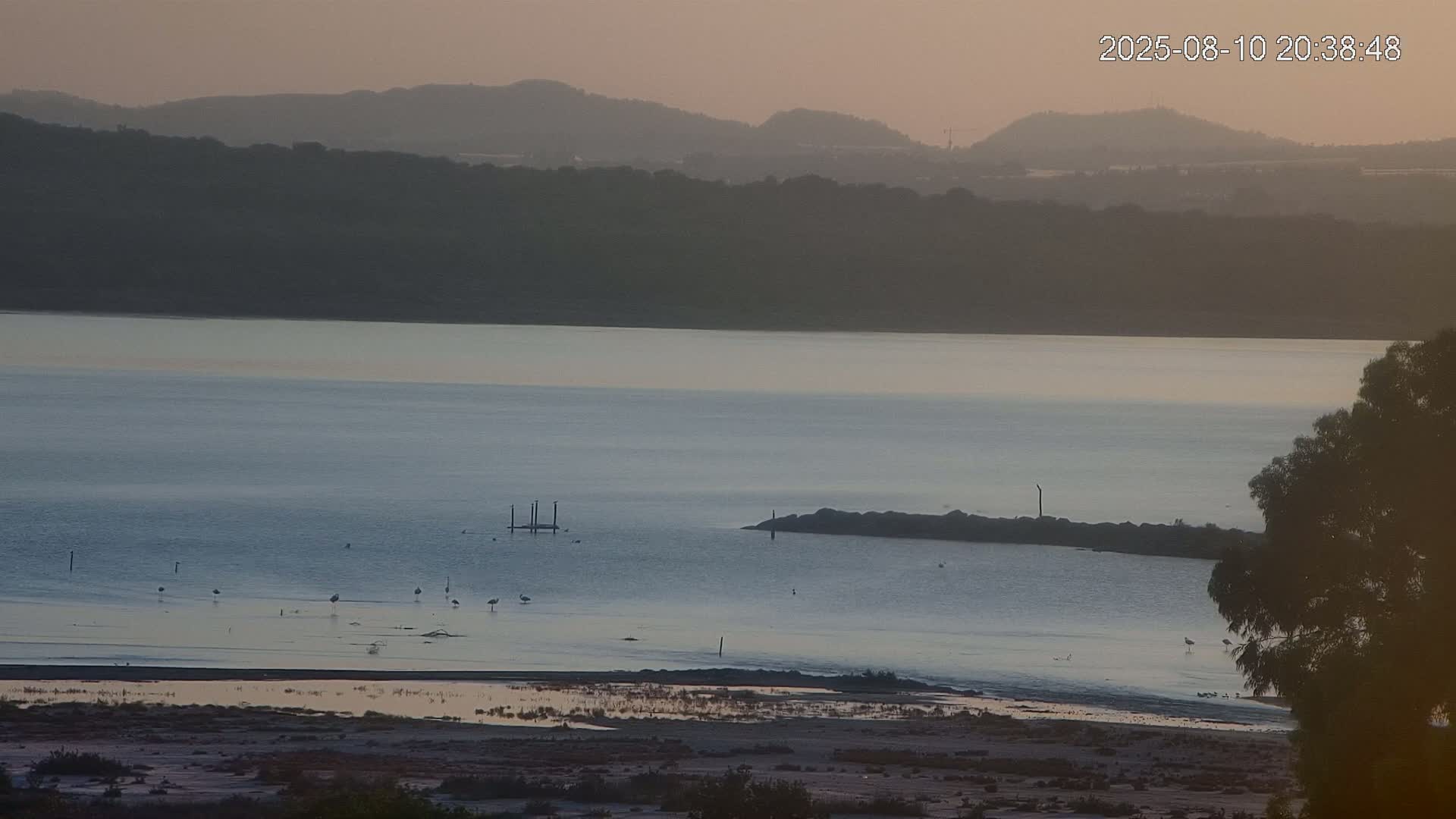Laguna Salada de La Mata Lagoon Lake & -Parque Natural Lagunas de La Mata y Torrevieja Natural Park Live Cam - Torrevieja, Alicante, Valencia, Spain 