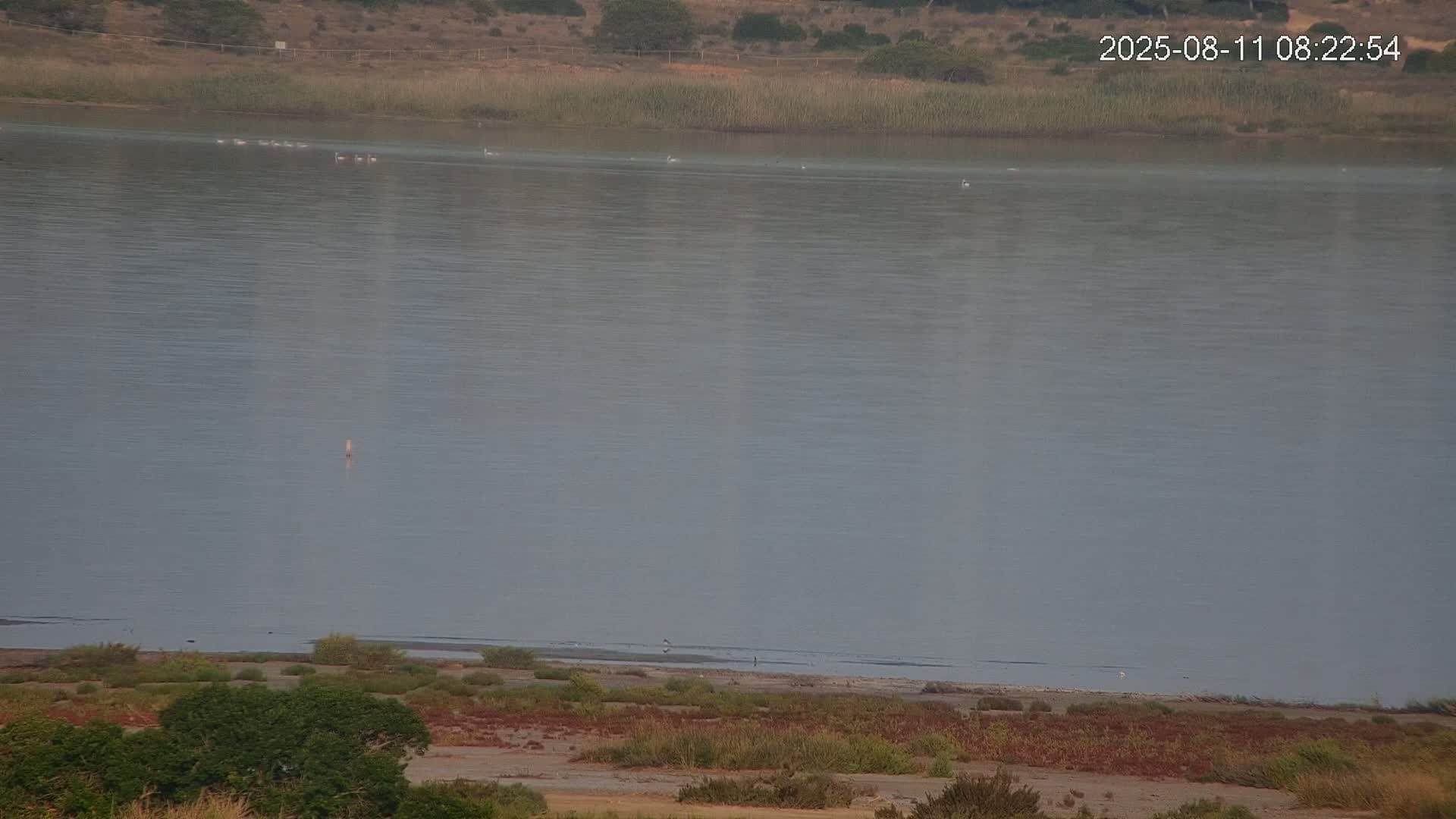 Laguna Salada de La Mata Lagoon Lake & -Parque Natural Lagunas de La Mata y Torrevieja Natural Park Live Cam - Torrevieja, Alicante, Valencia, Spain 