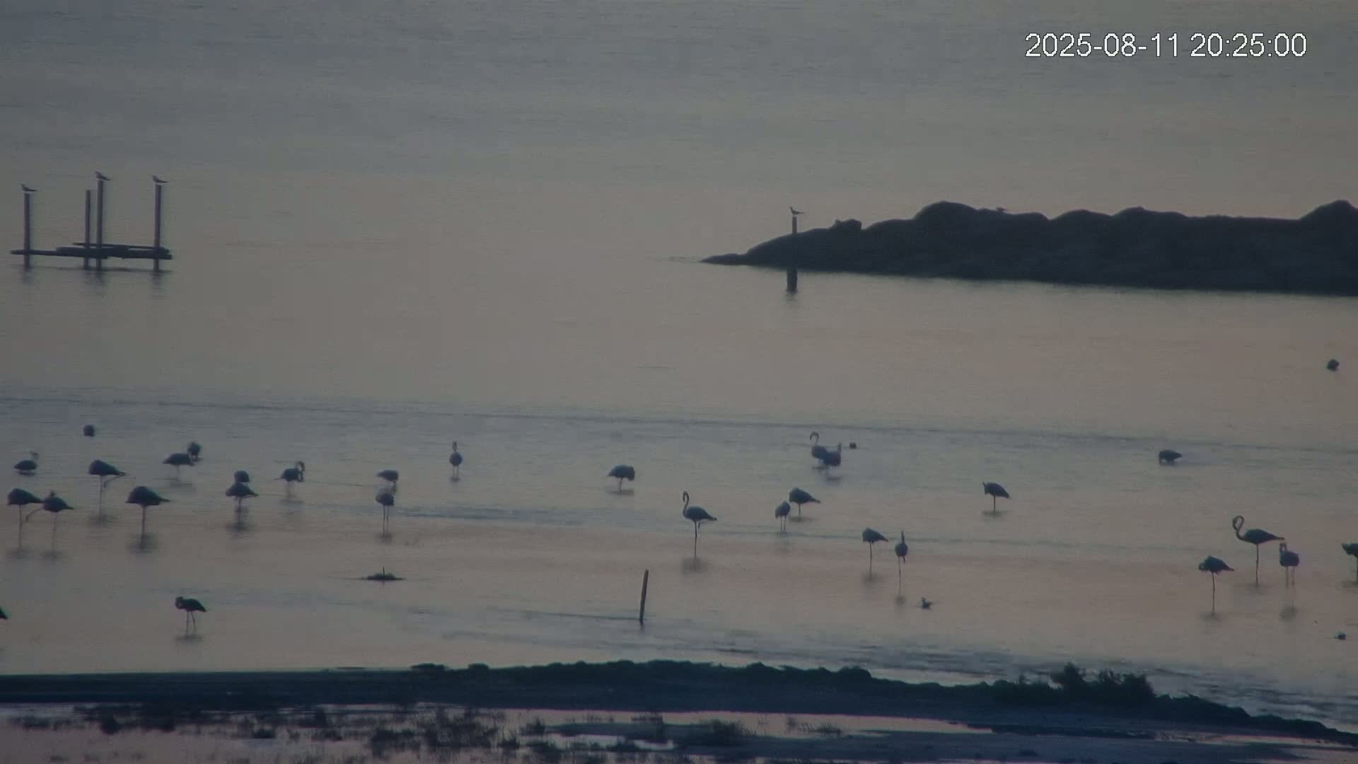 Laguna Salada de La Mata Lagoon Lake & -Parque Natural Lagunas de La Mata y Torrevieja Natural Park Live Cam - Torrevieja, Alicante, Valencia, Spain 