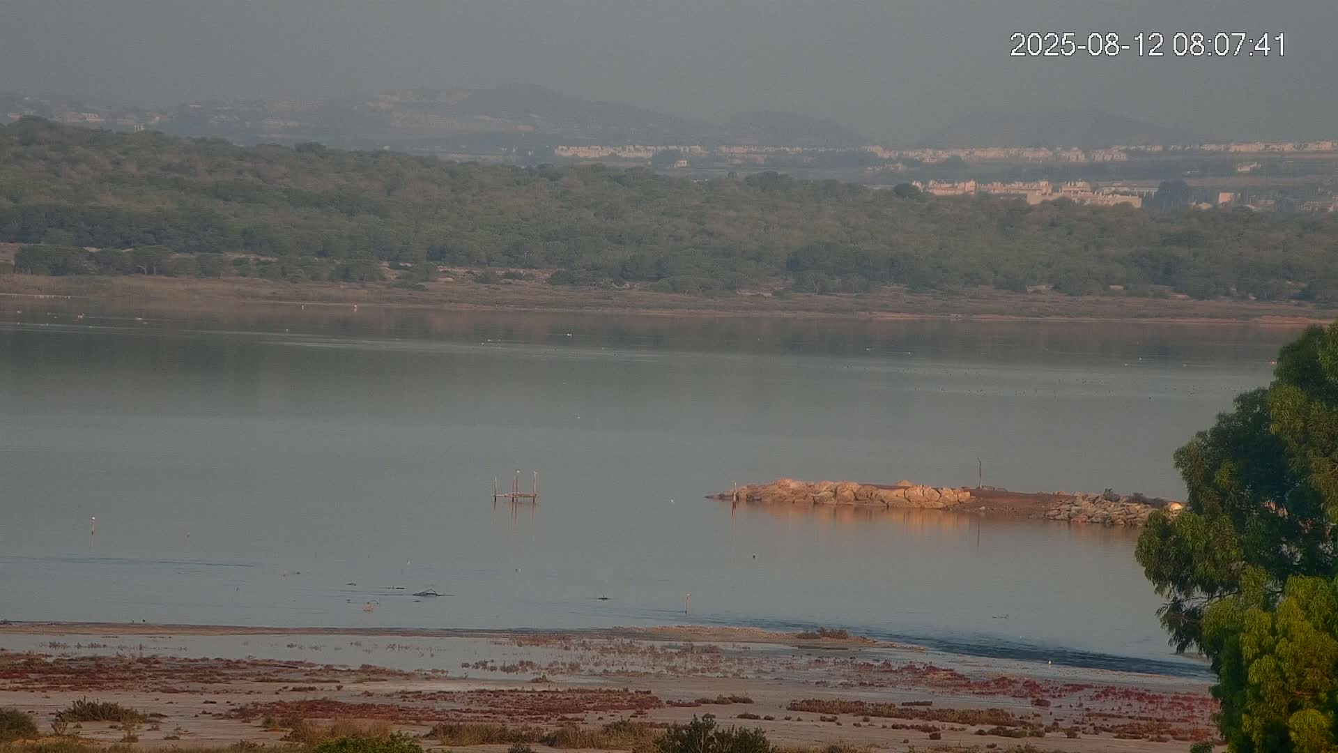 Laguna Salada de La Mata Lagoon Lake & -Parque Natural Lagunas de La Mata y Torrevieja Natural Park Live Cam - Torrevieja, Alicante, Valencia, Spain 