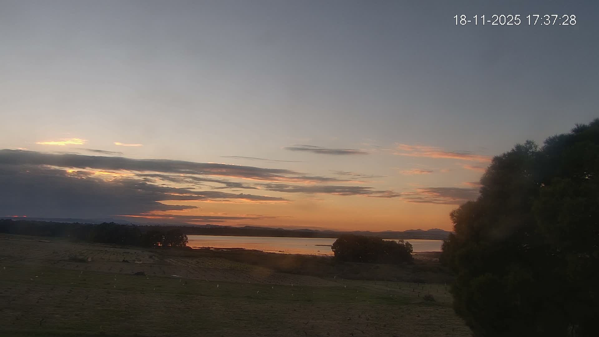 A flock of flamingos stands in shallow water near a rocky outcropping on a calm, hazy day, with a body of water extending to a distant shoreline of trees and buildings.