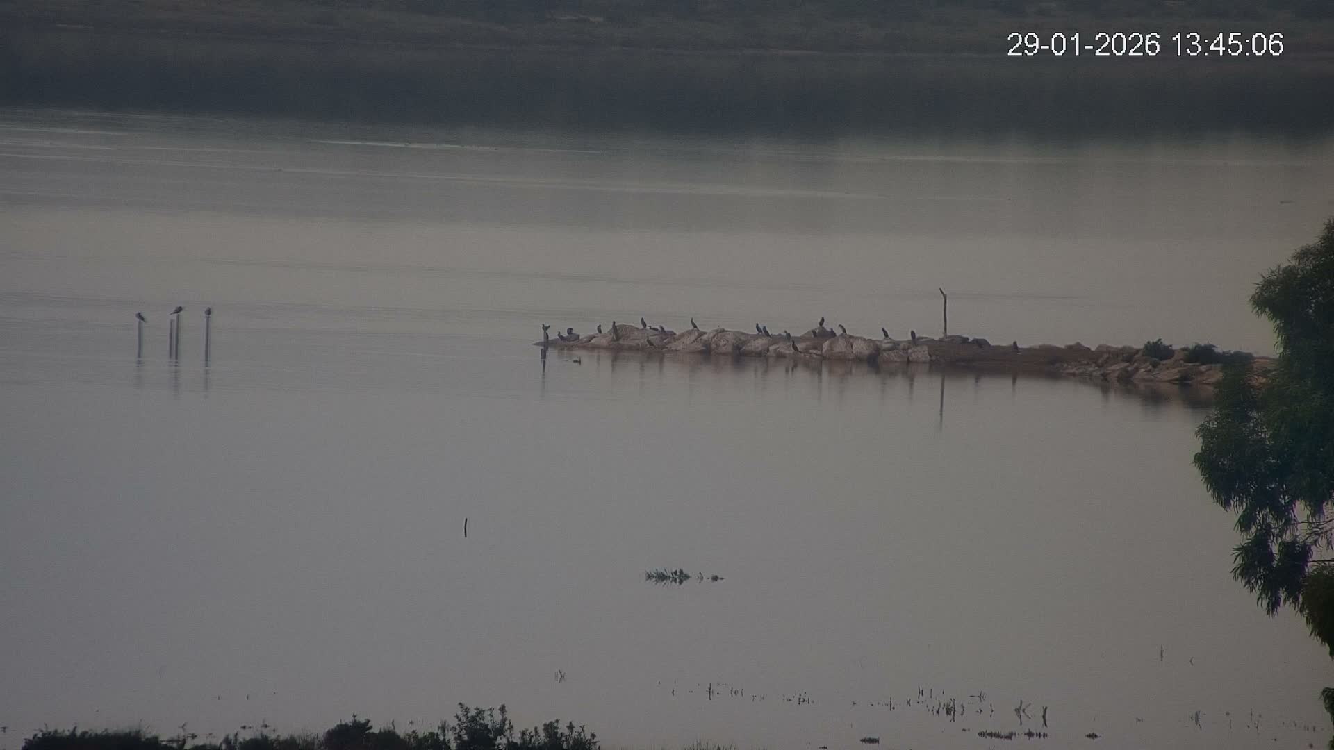 Laguna Salada de La Mata Lagoon Lake & -Parque Natural Lagunas de La Mata y Torrevieja Natural Park Live Cam - Torrevieja, Alicante, Valencia, Spain 