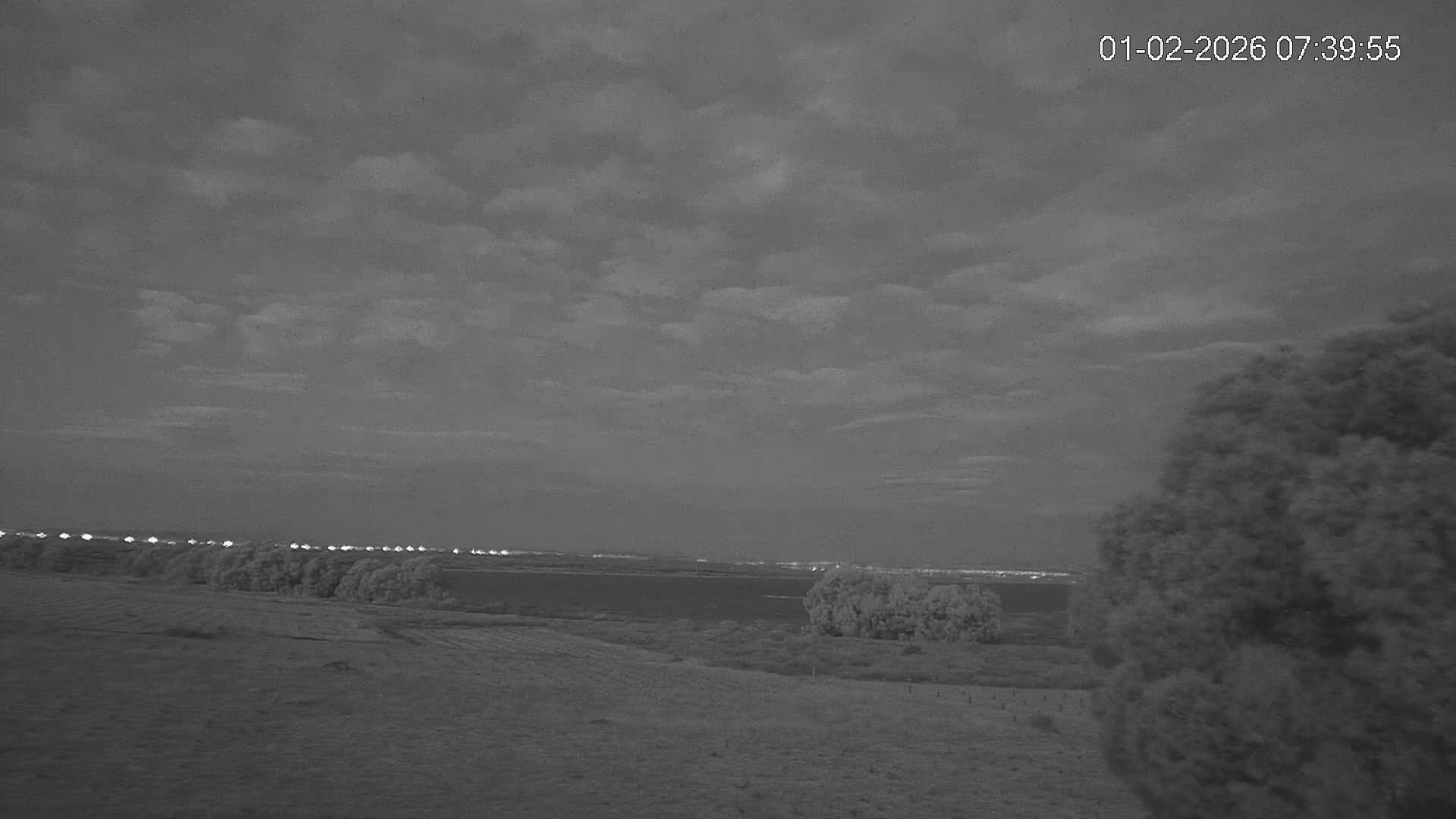 Laguna Salada de La Mata Lagoon Lake & -Parque Natural Lagunas de La Mata y Torrevieja Natural Park Live Cam - Torrevieja, Alicante, Valencia, Spain 