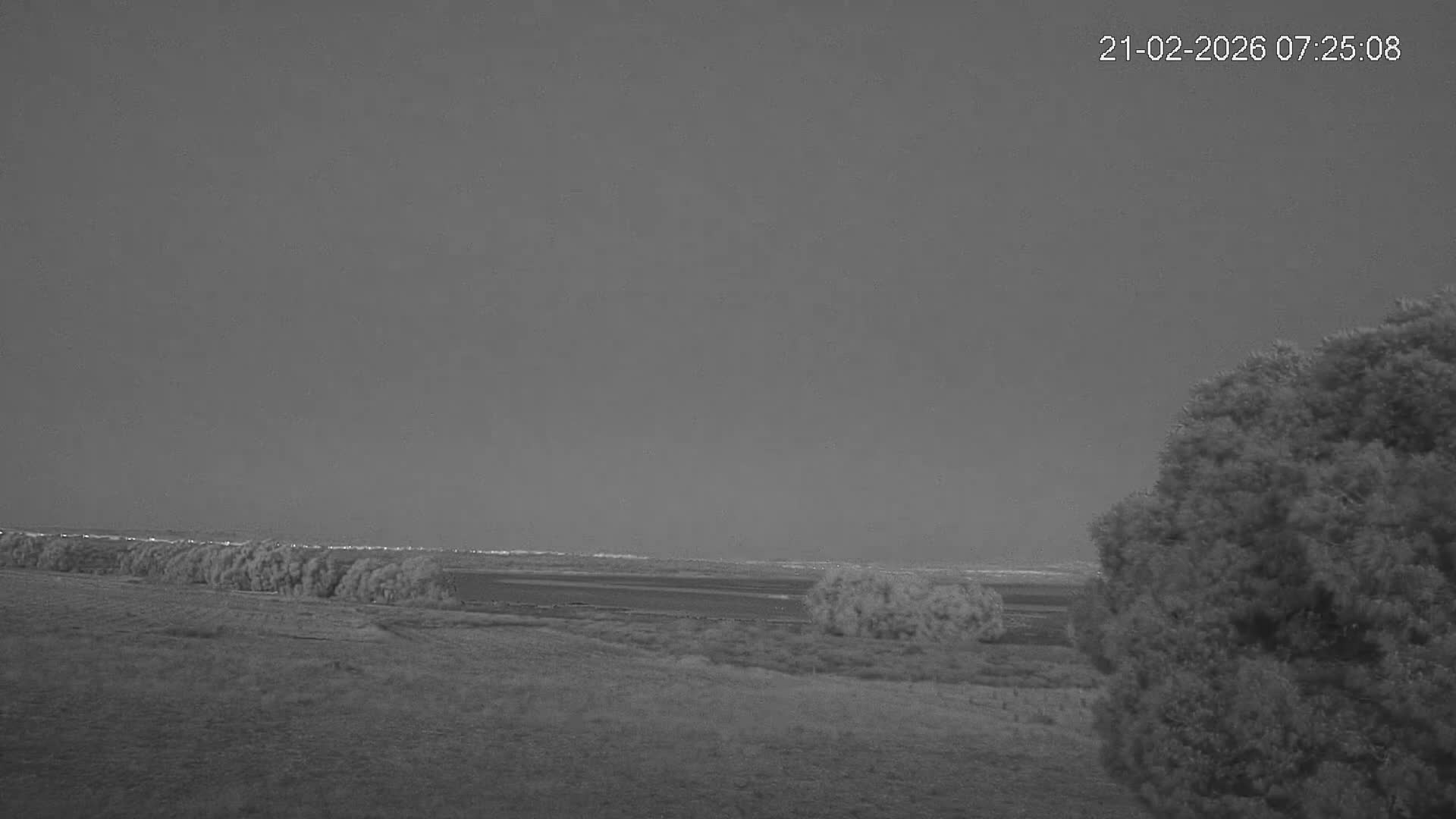 Laguna Salada de La Mata Lagoon Lake & -Parque Natural Lagunas de La Mata y Torrevieja Natural Park Live Cam - Torrevieja, Alicante, Valencia, Spain 