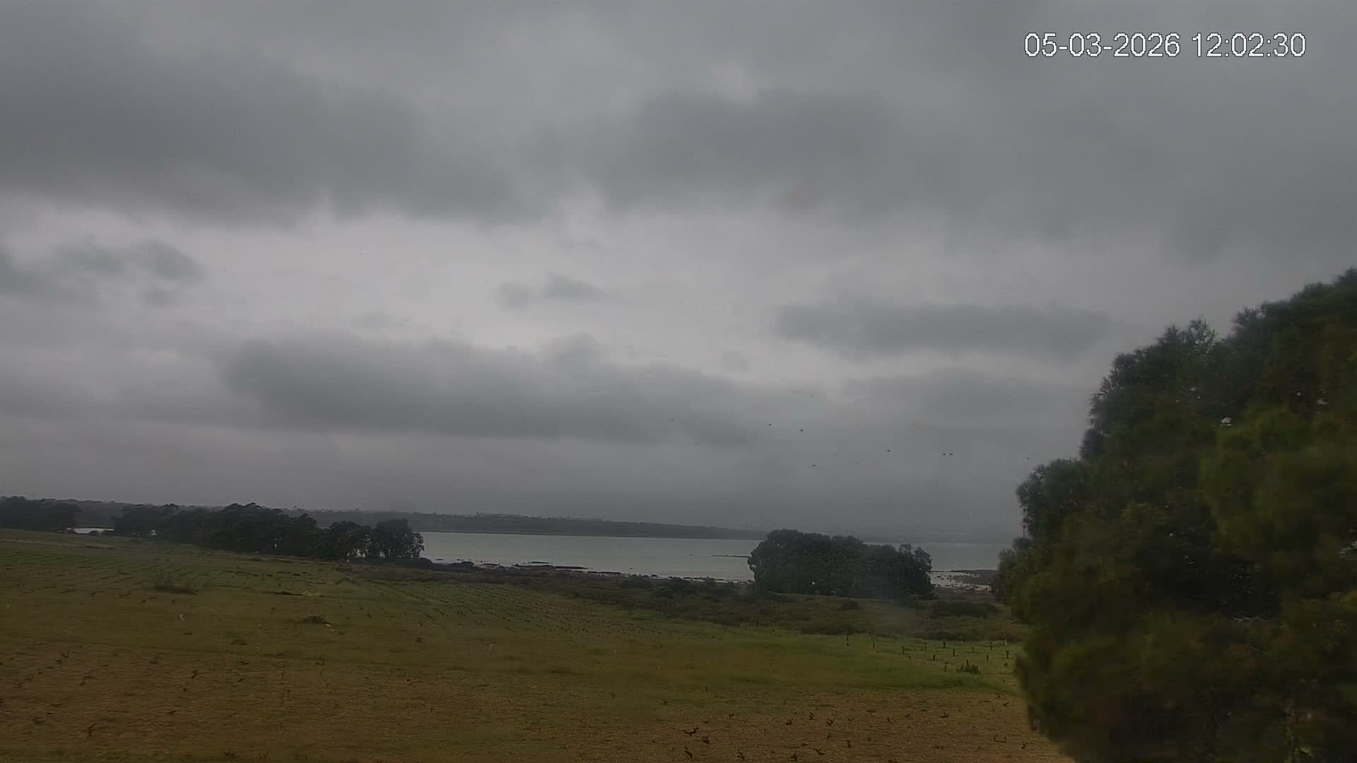 Laguna Salada de La Mata Lagoon Lake & -Parque Natural Lagunas de La Mata y Torrevieja Natural Park Live Cam - Torrevieja, Alicante, Valencia, Spain 