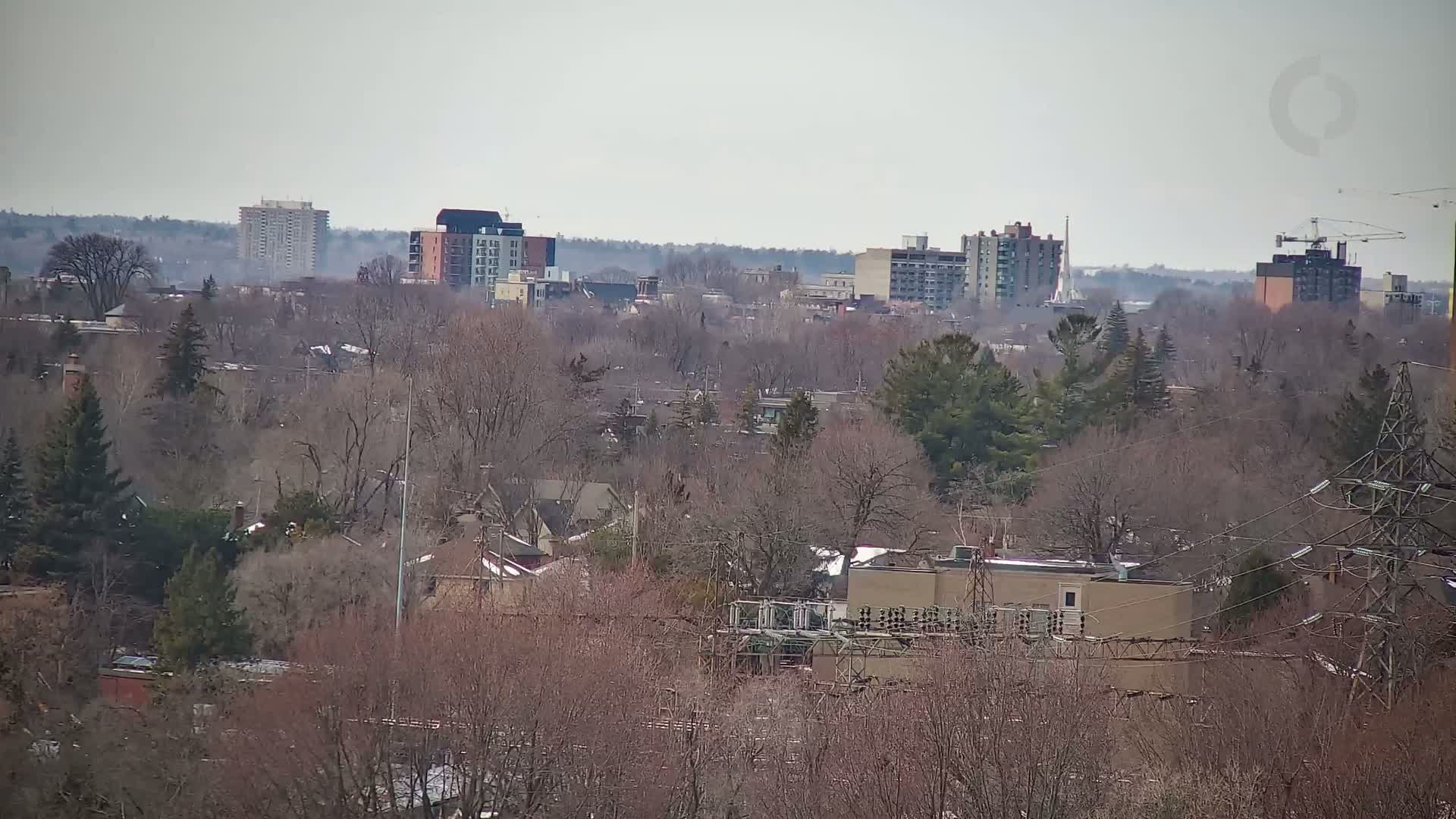 A hazy view of a city skyline partially obscured by bare winter trees and power lines.