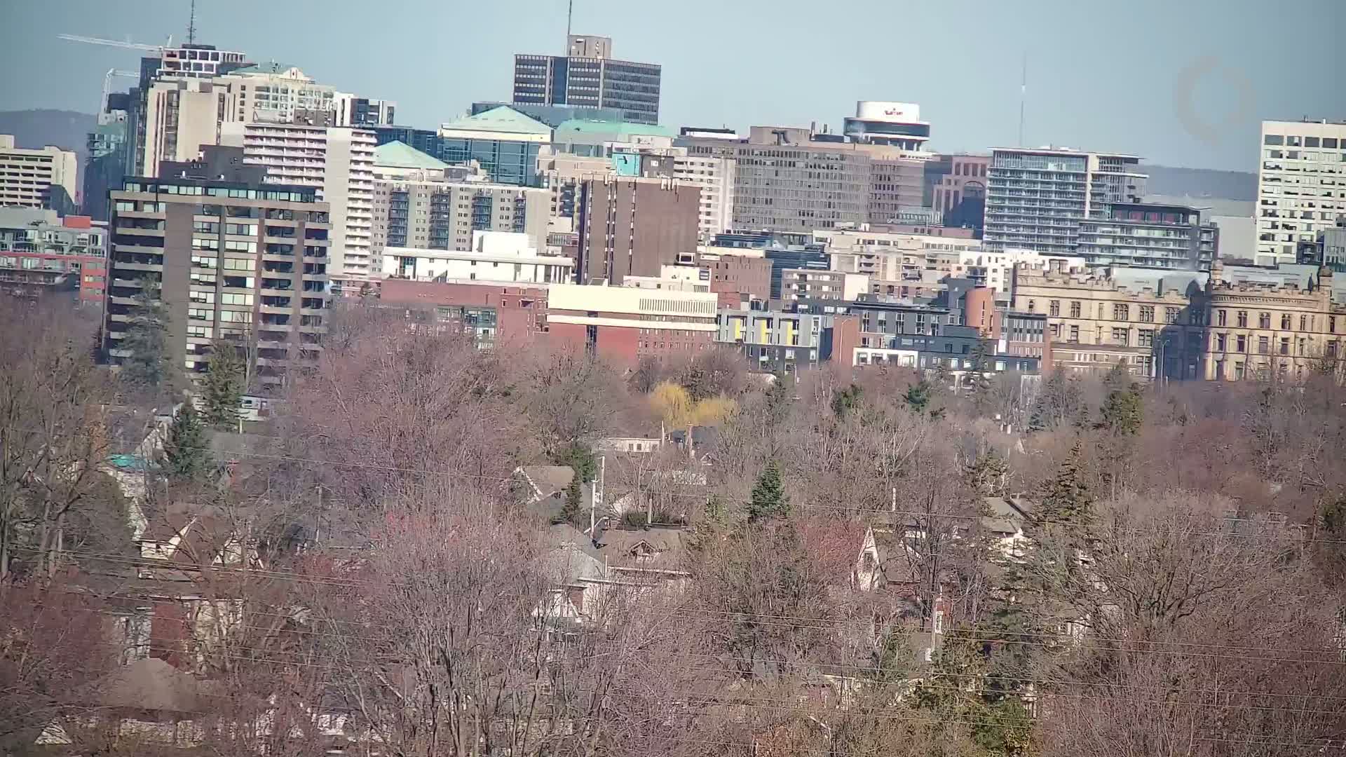 A city skyline with many high-rise buildings is visible behind a layer of leafless trees on a sunny day.