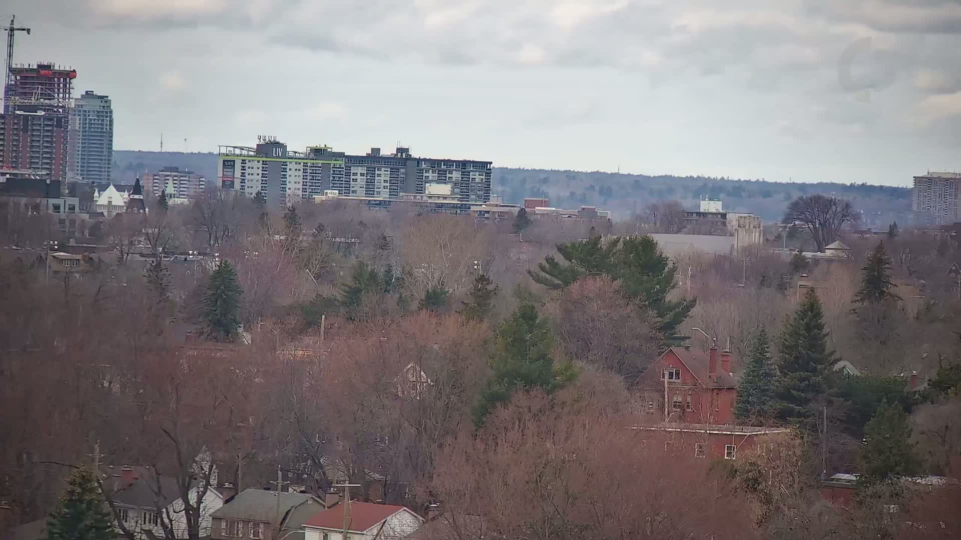 A city skyline with several high-rise buildings is visible in the distance behind a dense forest of bare trees under a cloudy sky.