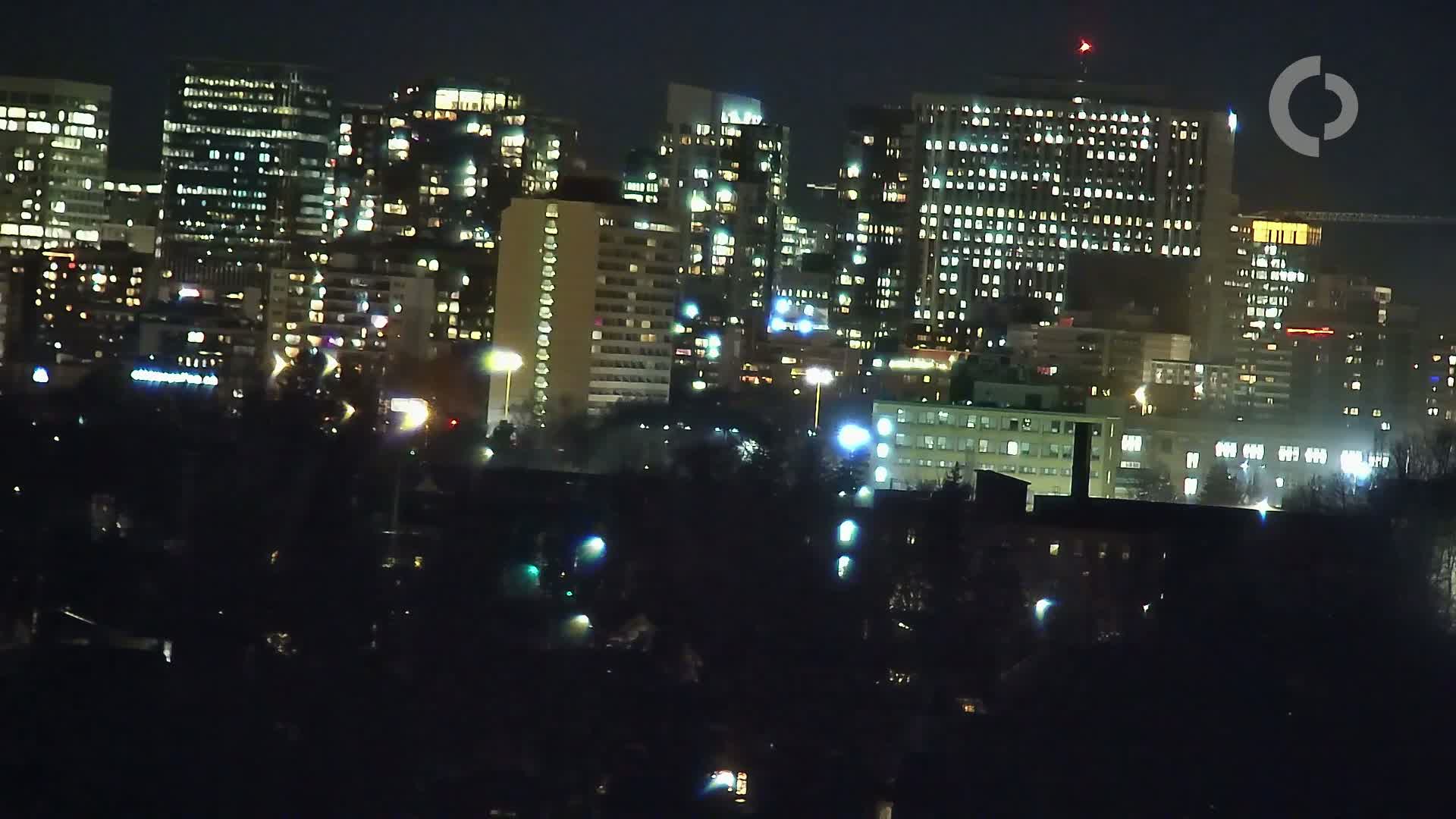 A brightly lit cityscape at night, viewed from a distance across a dark expanse of trees.