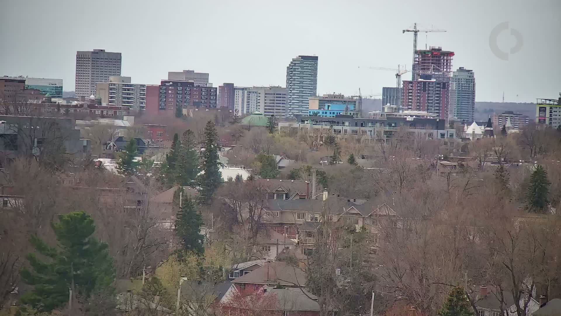 A cityscape of mid-rise and high-rise buildings under an overcast sky is seen from a distance, partially obscured by leafless trees.