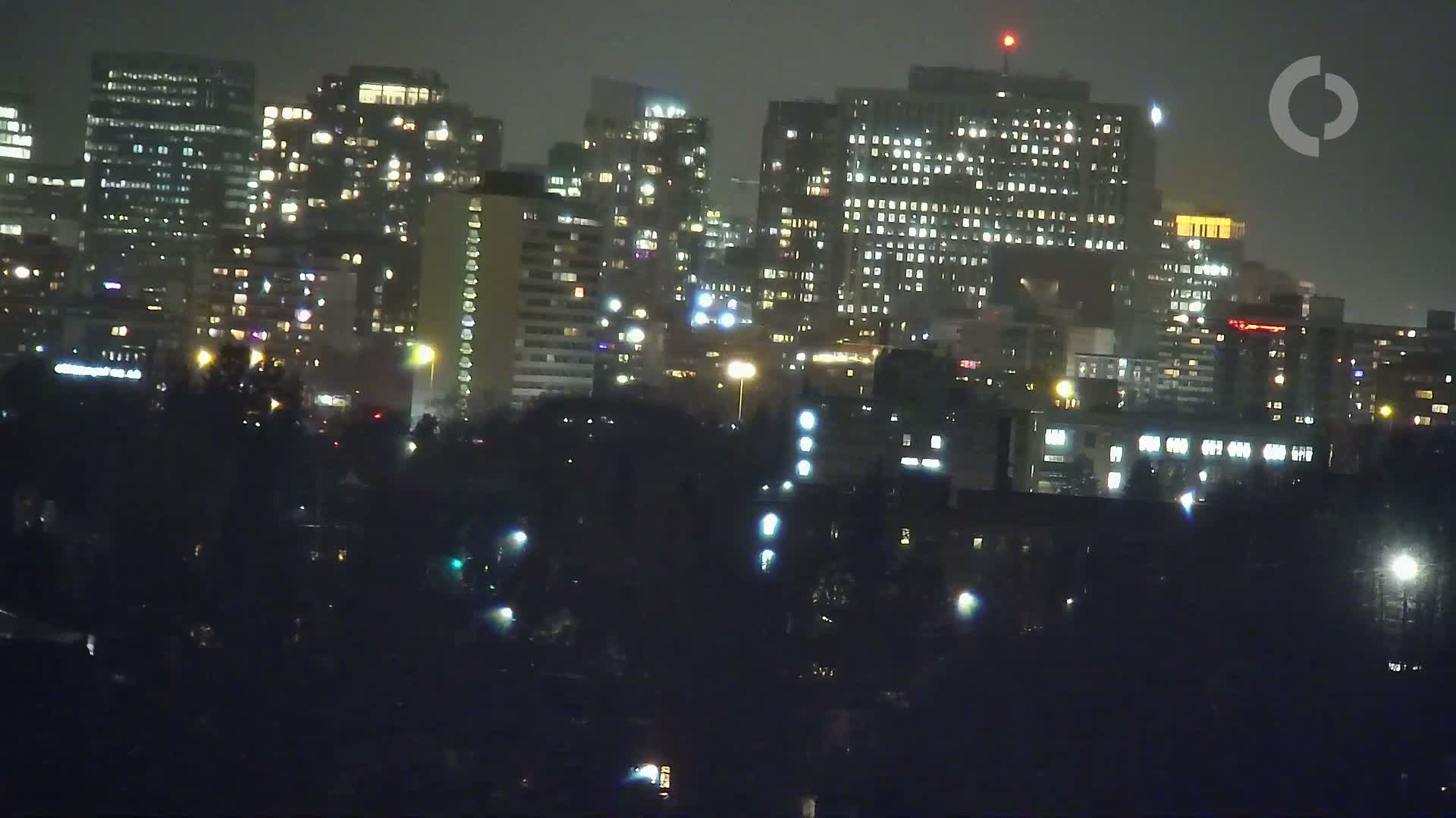 A nighttime view of a city skyline with numerous illuminated buildings and dark trees in the foreground under a hazy sky.