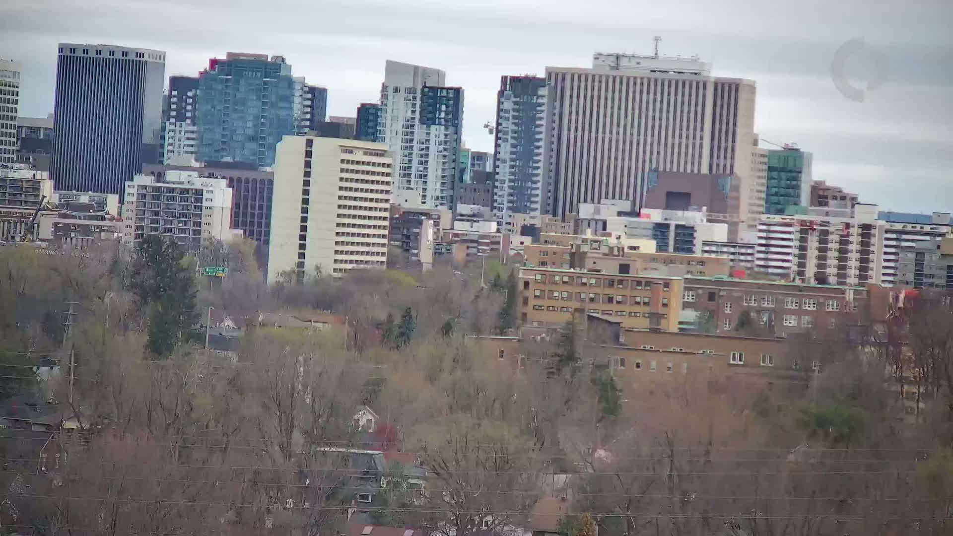 A city skyline with numerous high-rise buildings is visible behind a foreground of bare trees under an overcast sky.