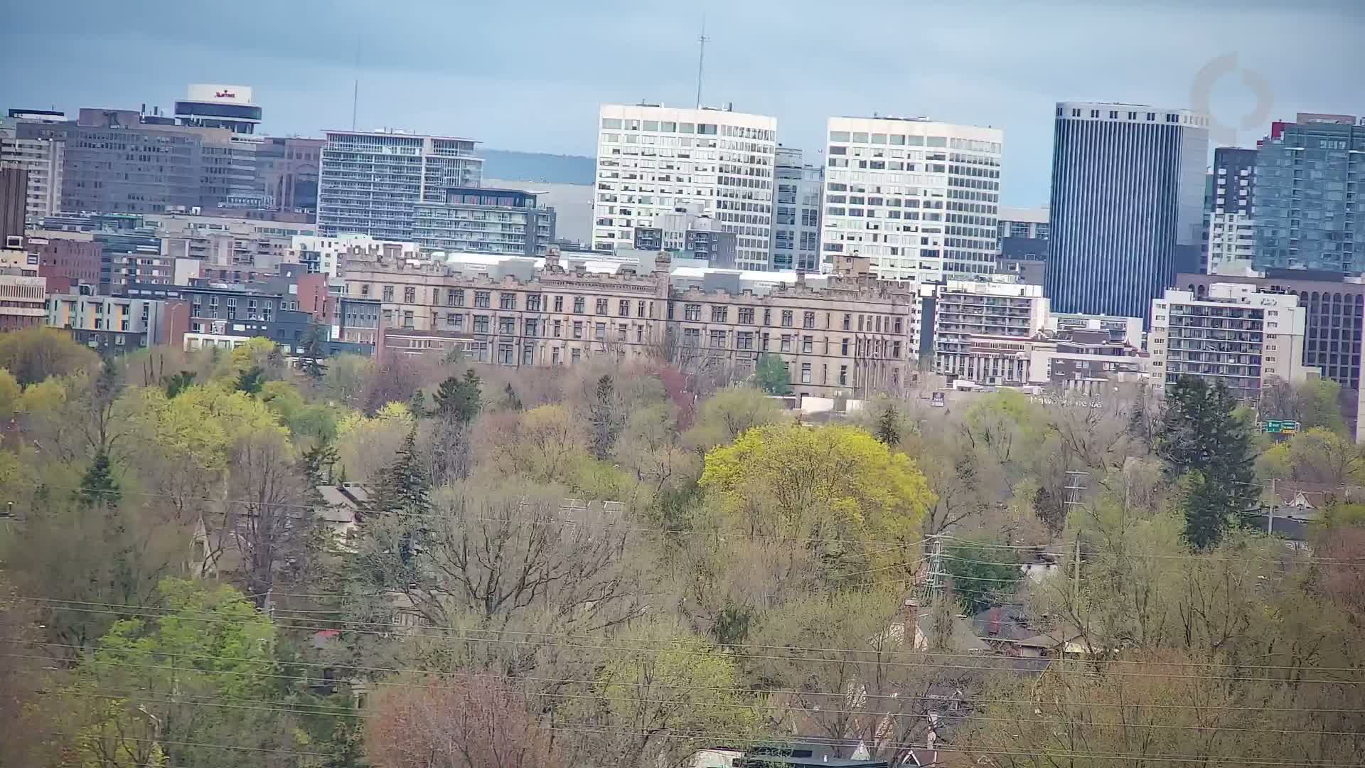 A city skyline with a mix of modern and older buildings is partially obscured by a line of trees showing early spring growth under a cloudy sky.
