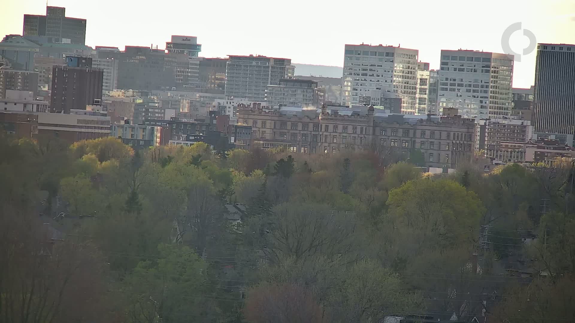 A cityscape of numerous buildings, including several high-rises, is partially obscured by a swath of trees in the foreground, under a hazy, possibly overcast sky.