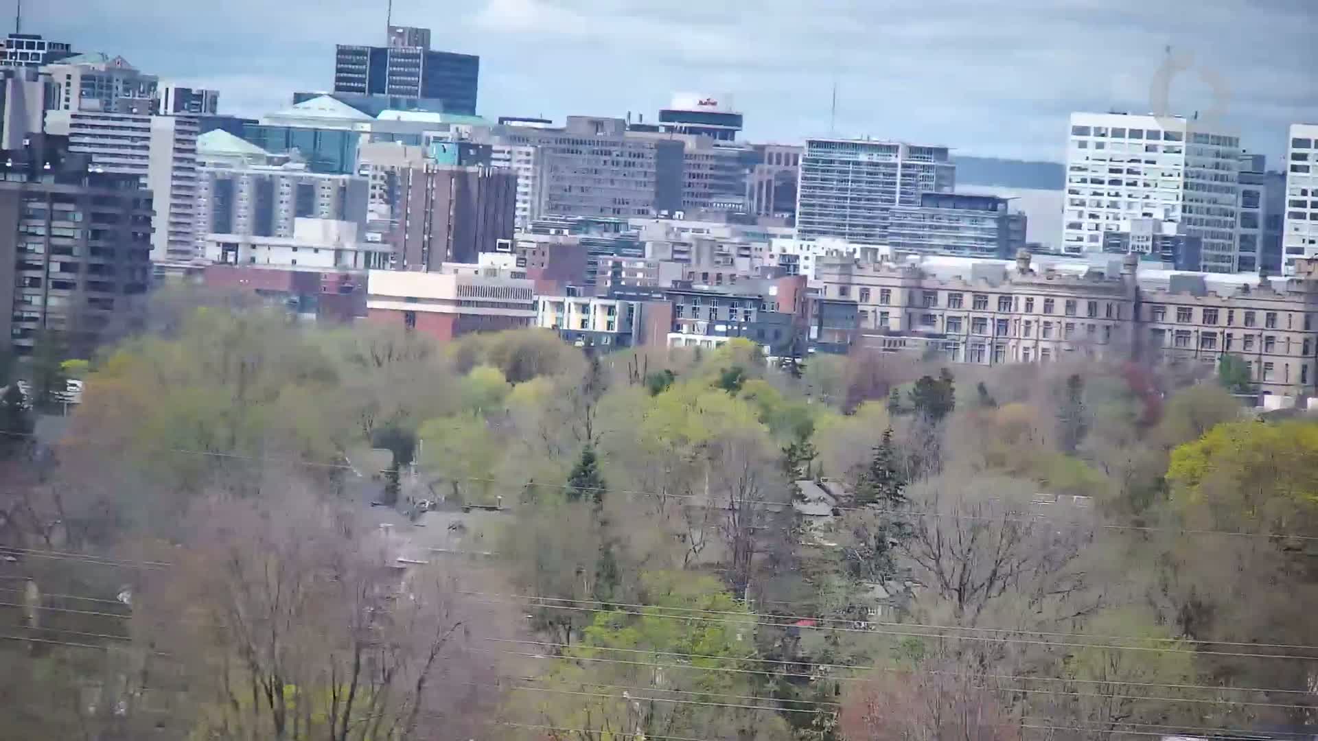 A city skyline with many buildings is partially obscured by a swath of trees with budding leaves, under an overcast sky.
