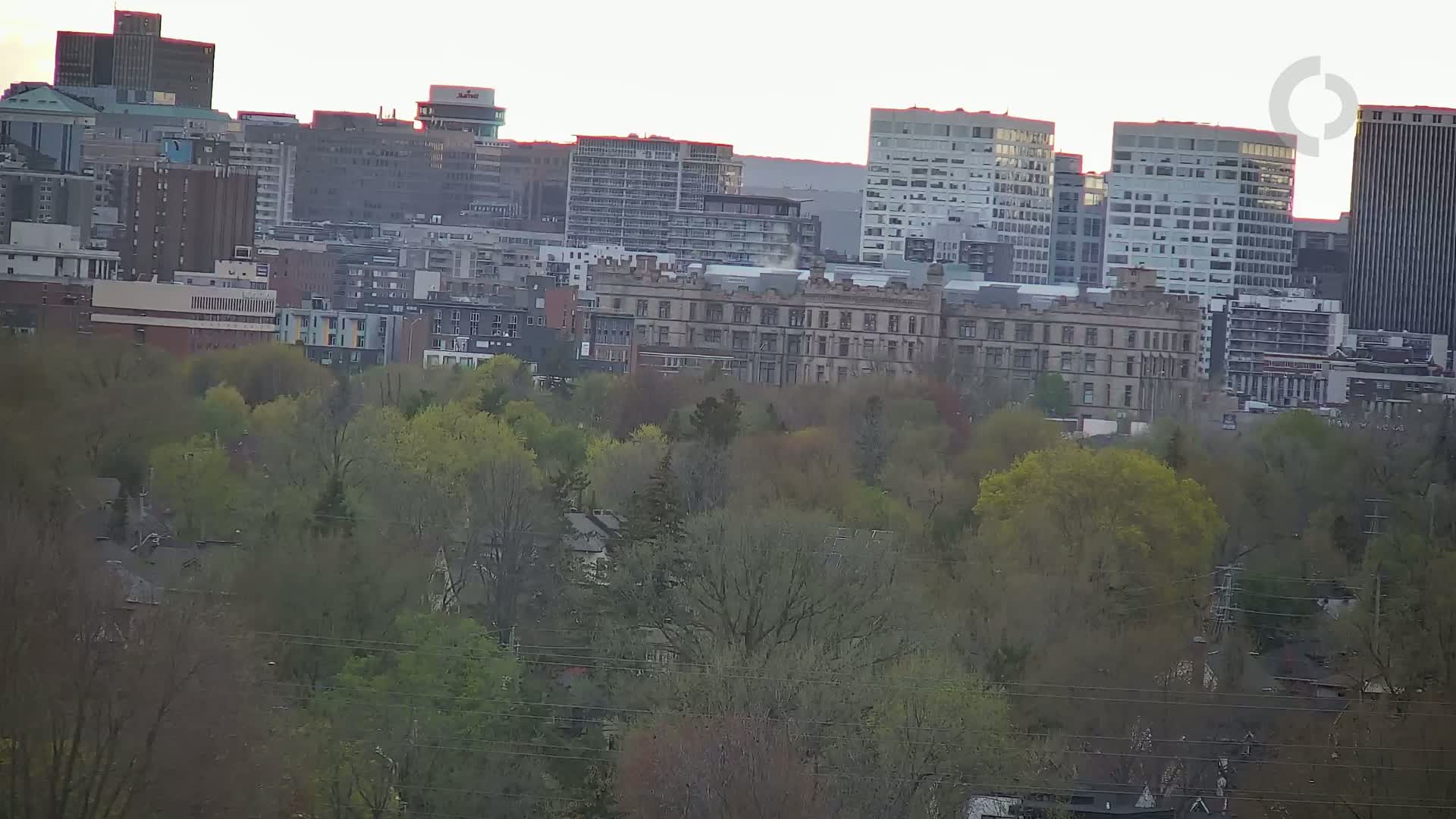 A cityscape of multi-story buildings is partially obscured by a stand of budding trees under a light, overcast sky.