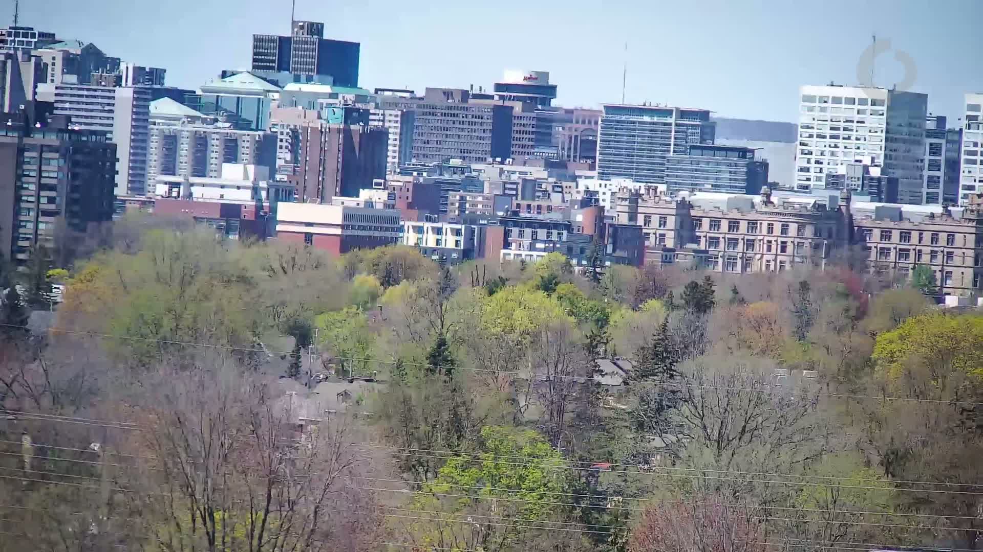 A city skyline of numerous buildings is partially obscured by a large expanse of budding trees on a sunny day.
