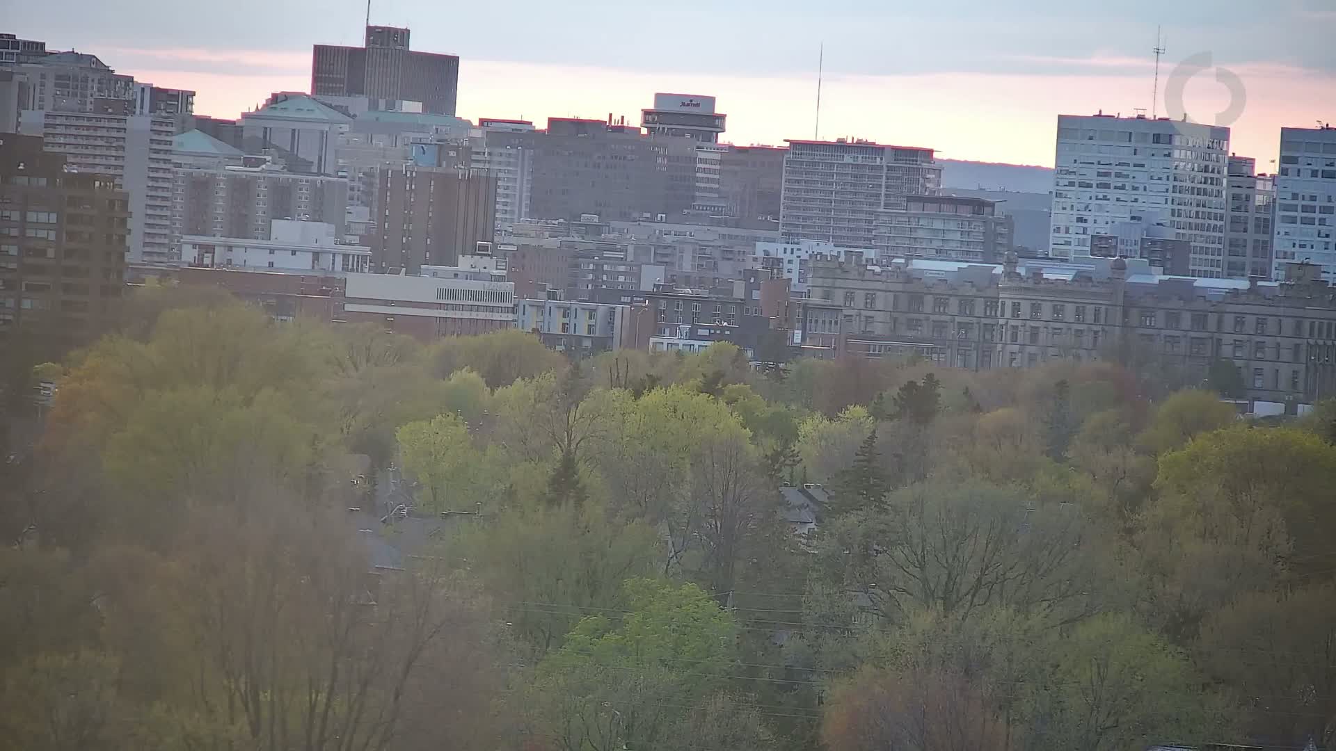 A cityscape of multi-story buildings is partially obscured by a hazy layer of atmosphere over a canopy of budding trees in the soft light of early morning or late evening.